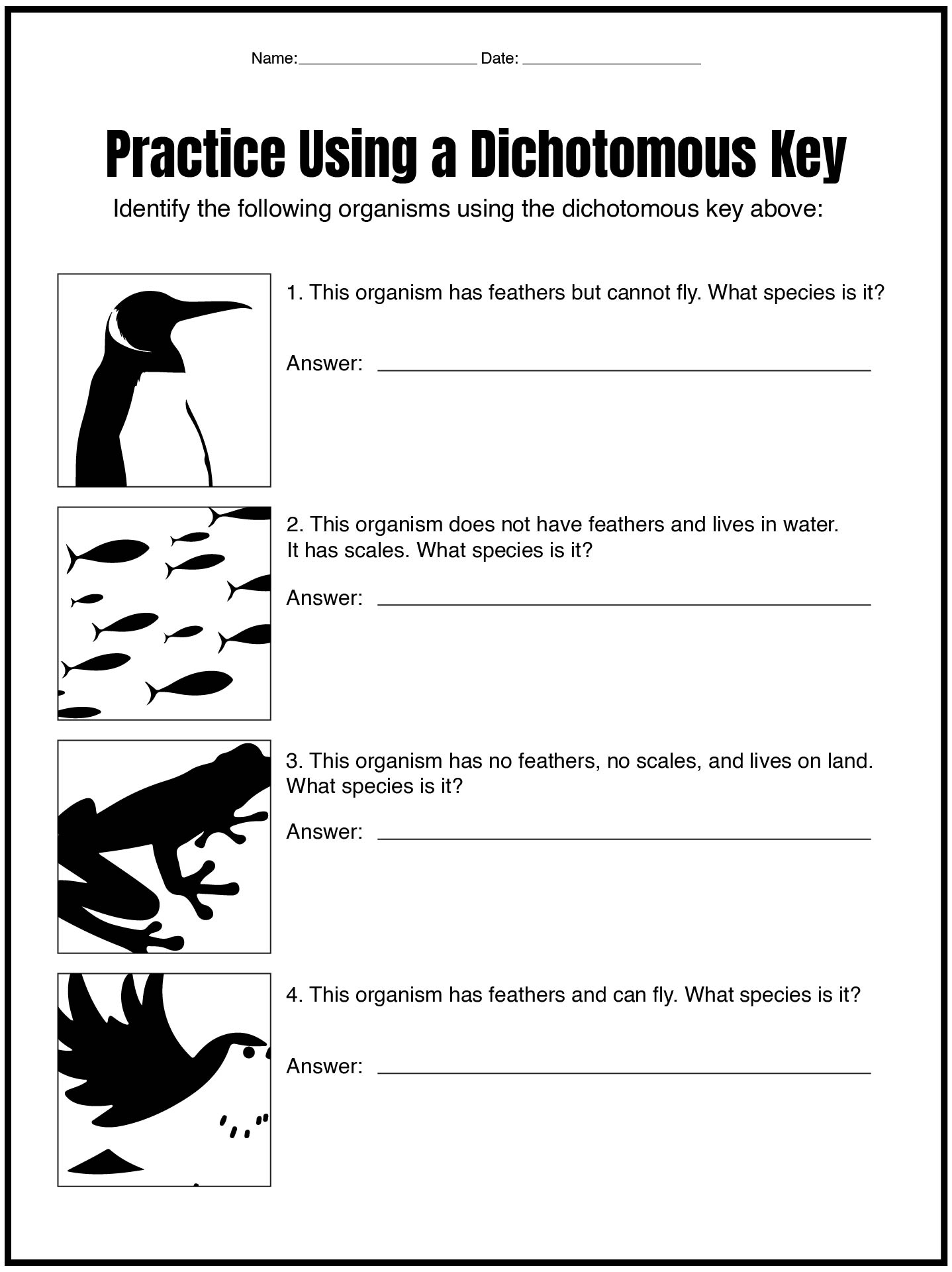 Dichotomous Key Worksheets for Biology Class