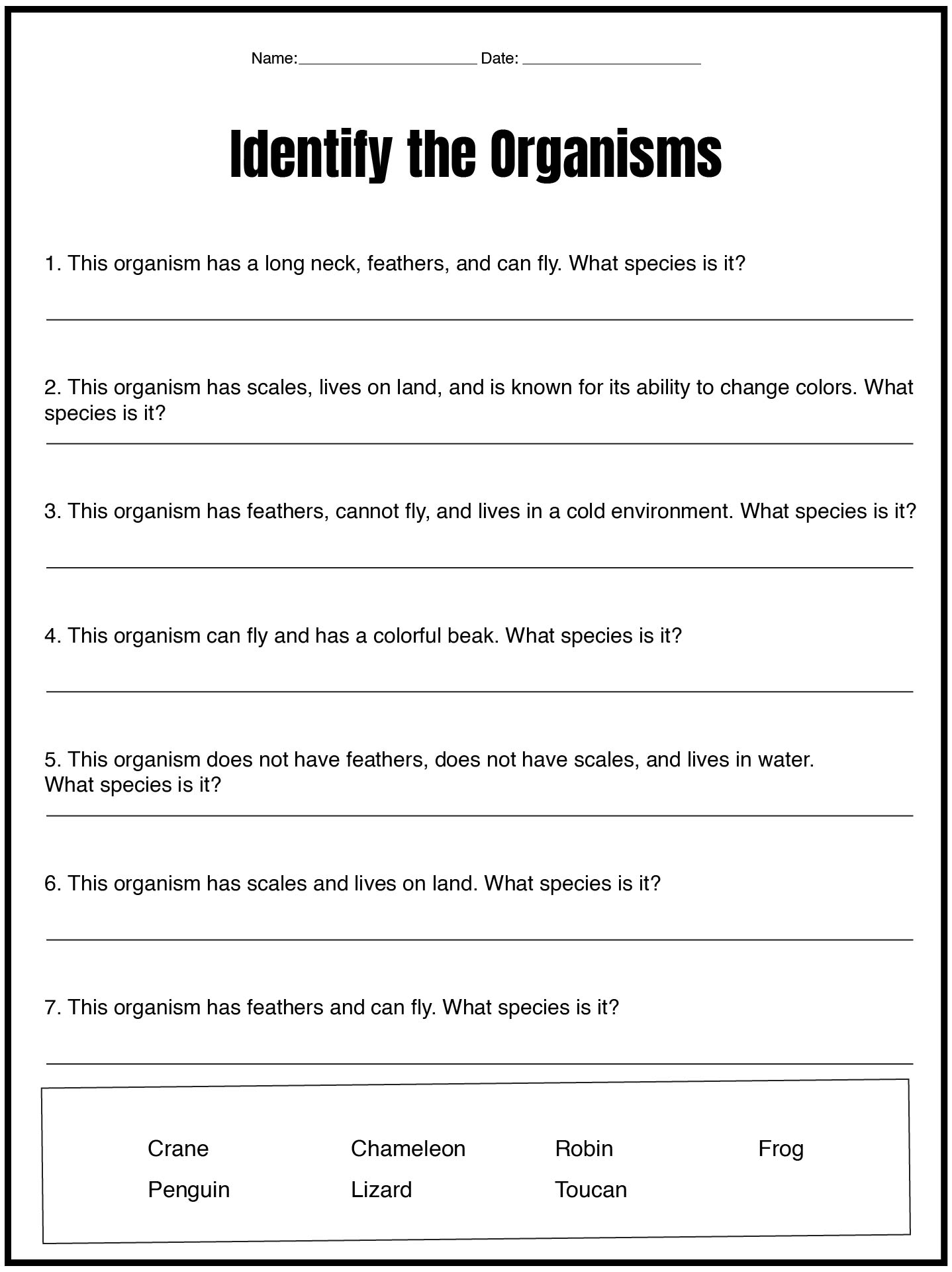 Printable Dichotomous Key Exercises for Students