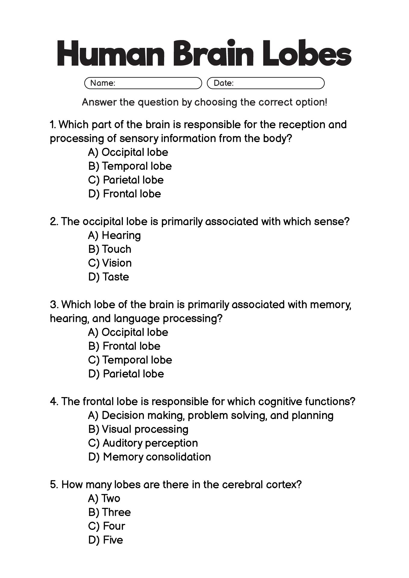 Anatomy of Brain Lobes Worksheet