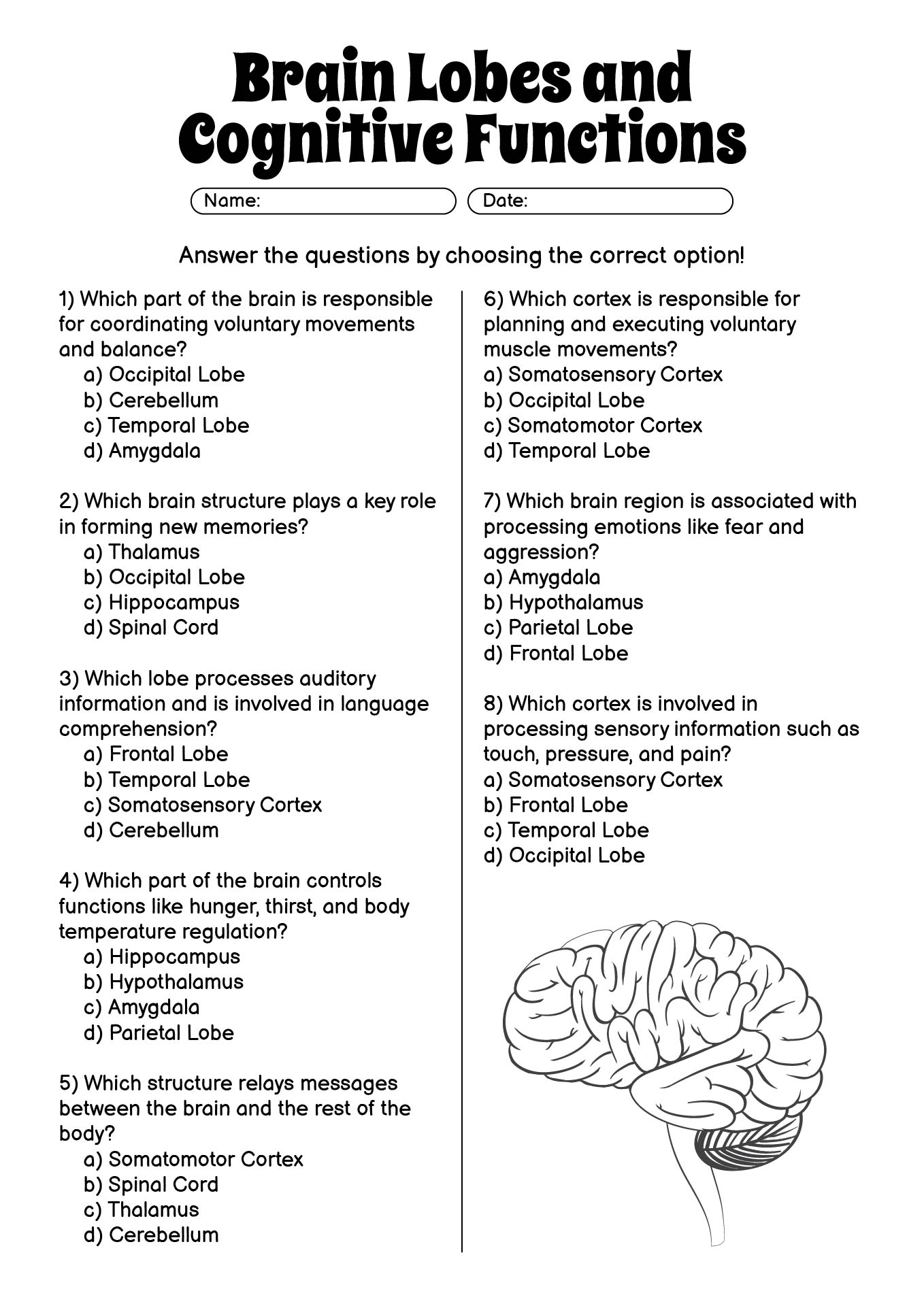 Brain Lobes and Cognitive Functions Worksheet