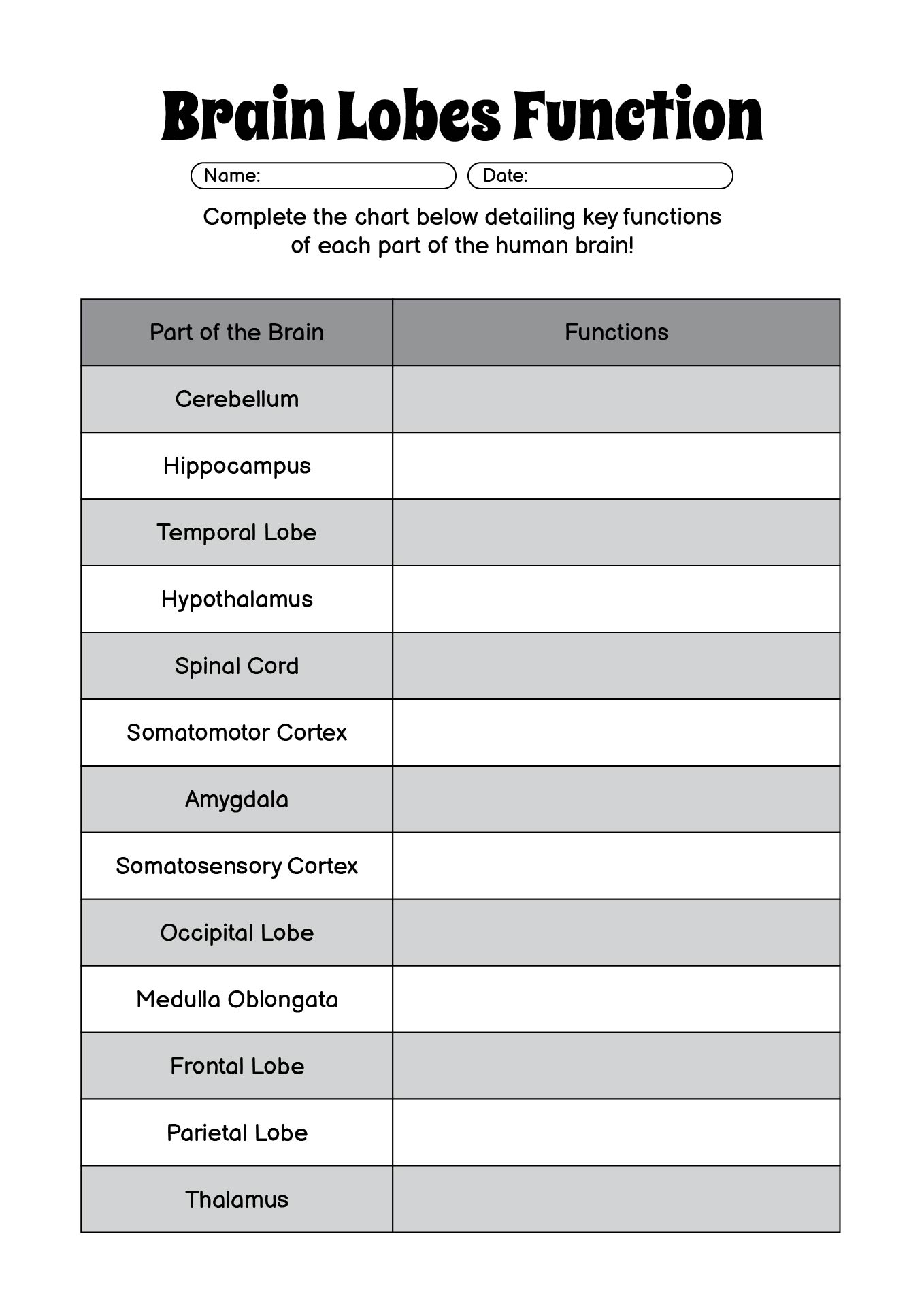 Brain Lobes Function Chart Worksheet