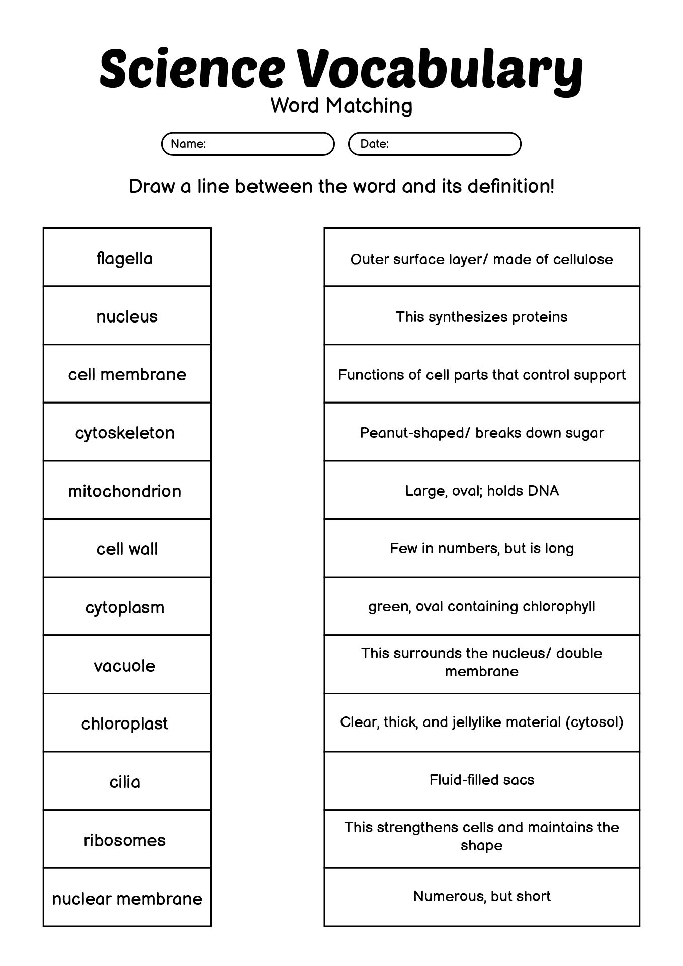 High School Science Vocabulary Word Worksheets