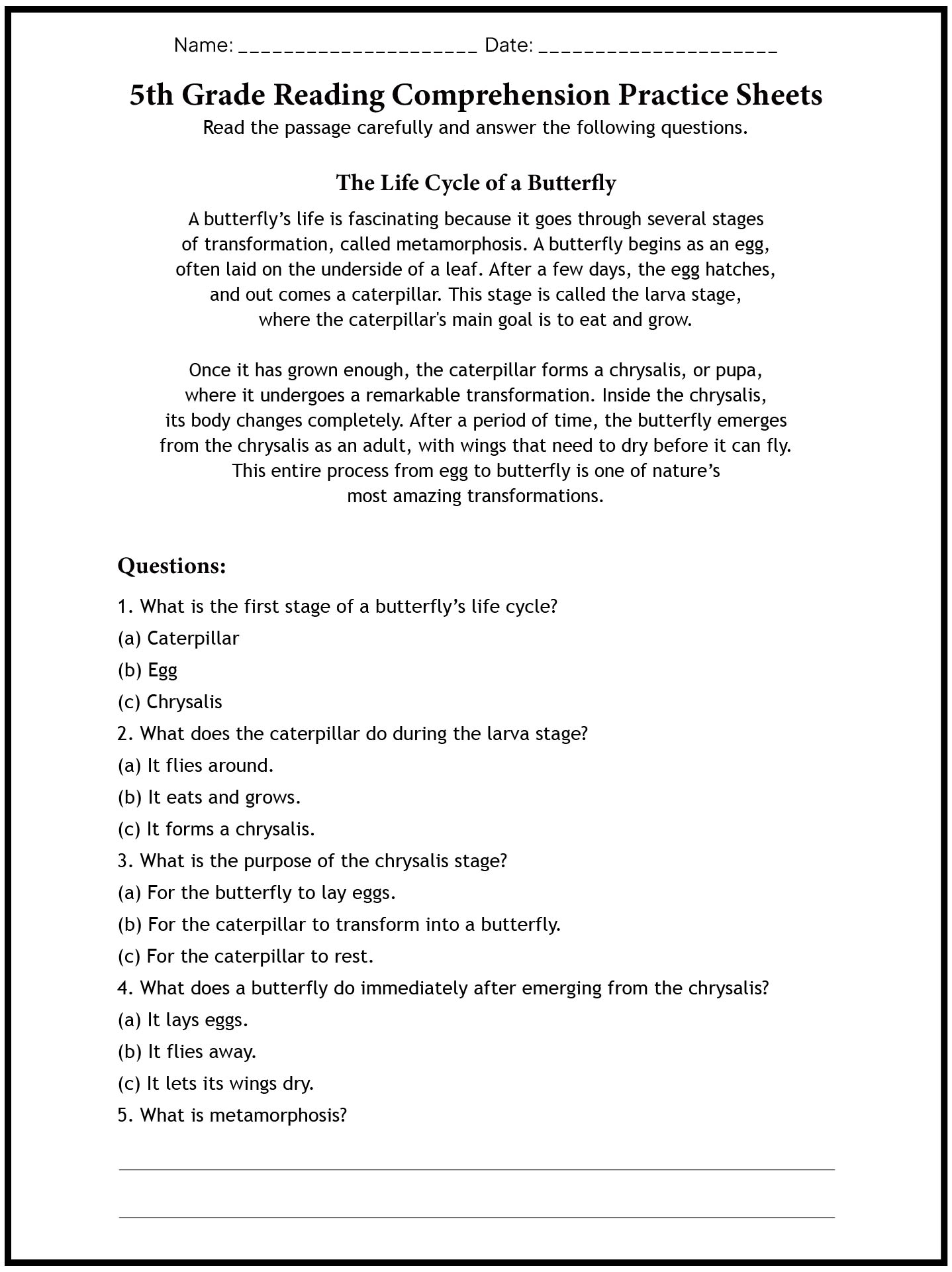 5th Grade Reading Comprehension Practice Sheets