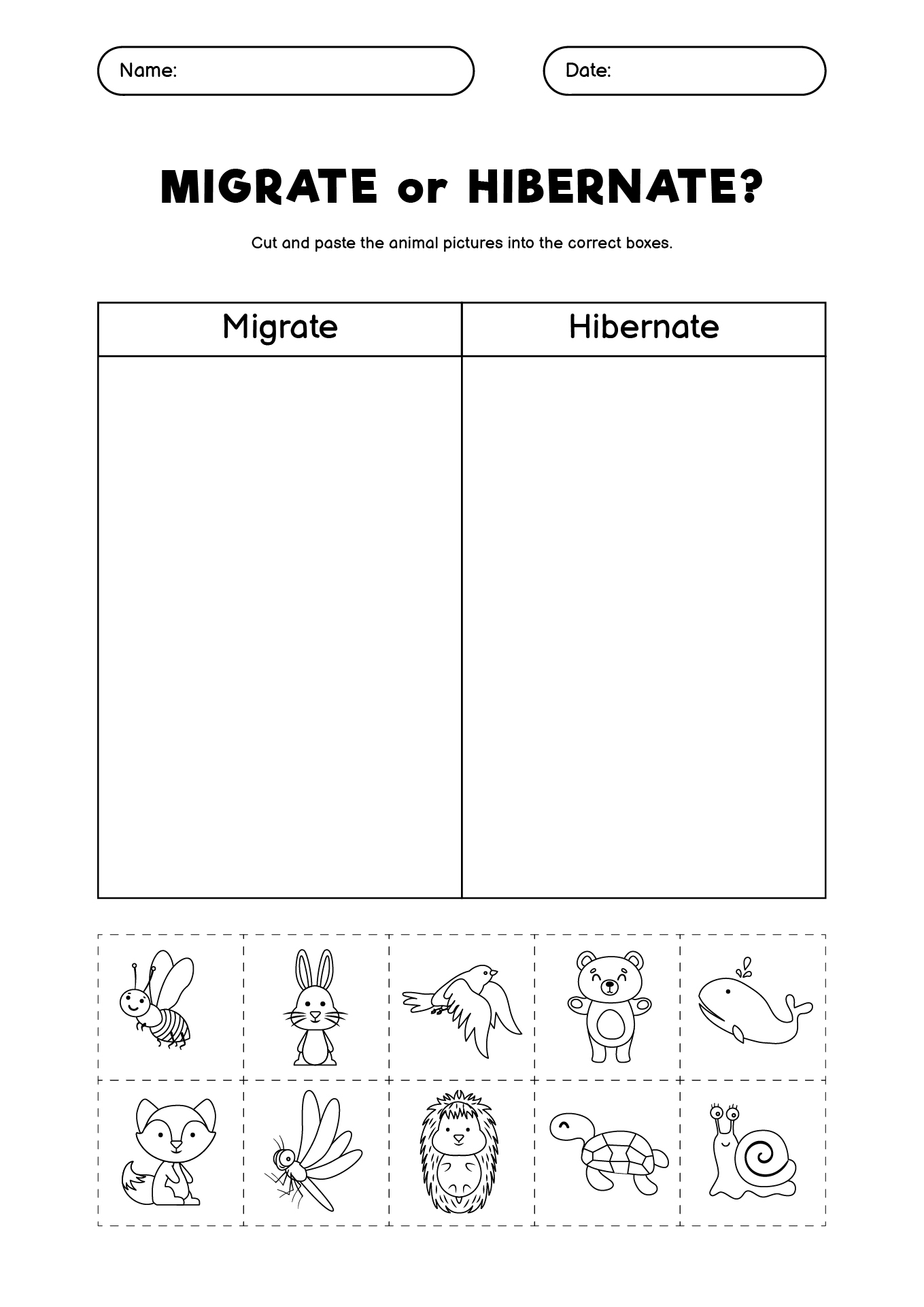 Animal Hibernation and Migration Activity Sheets for Kids