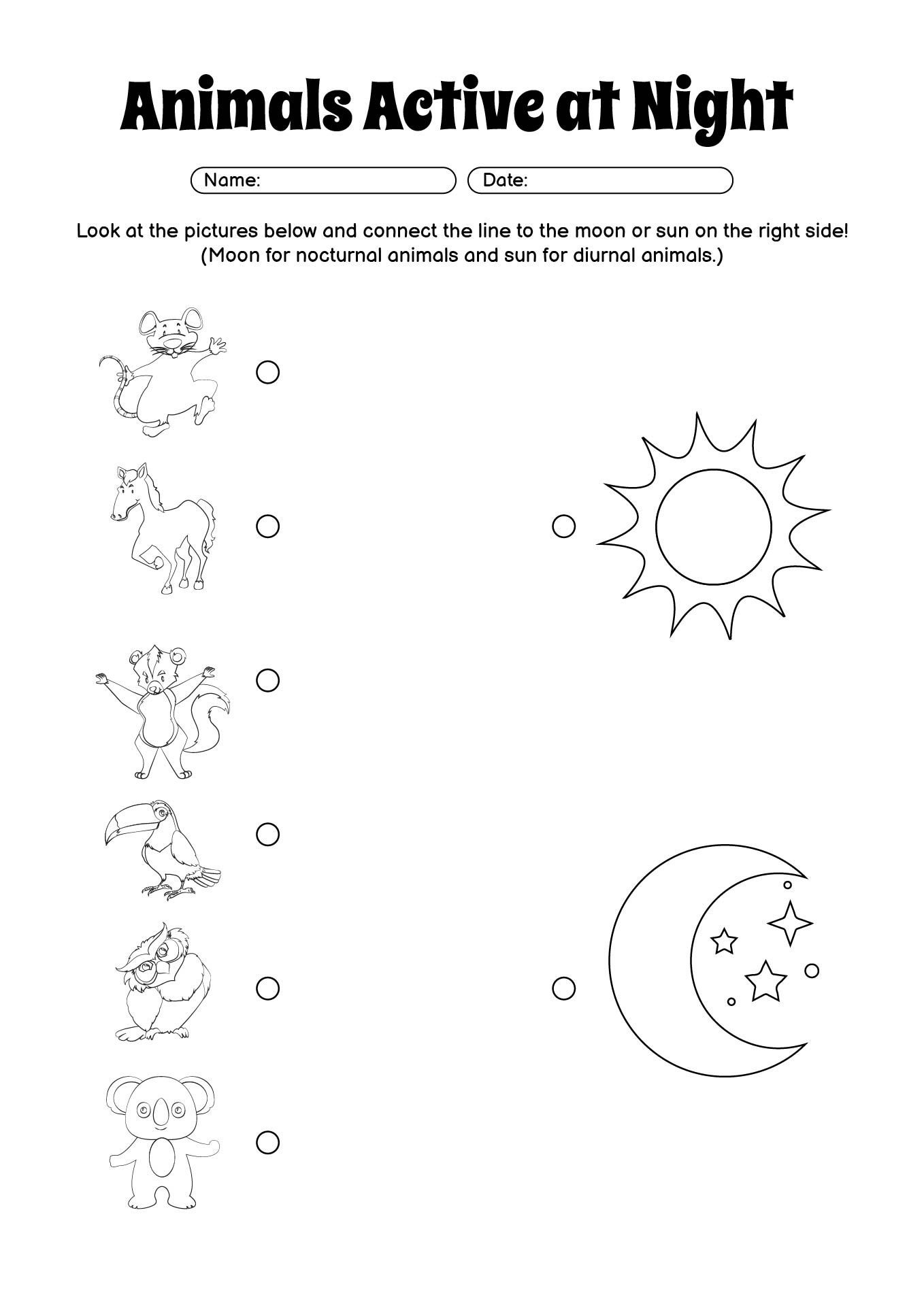 Animals Active at Night Learning Sheet