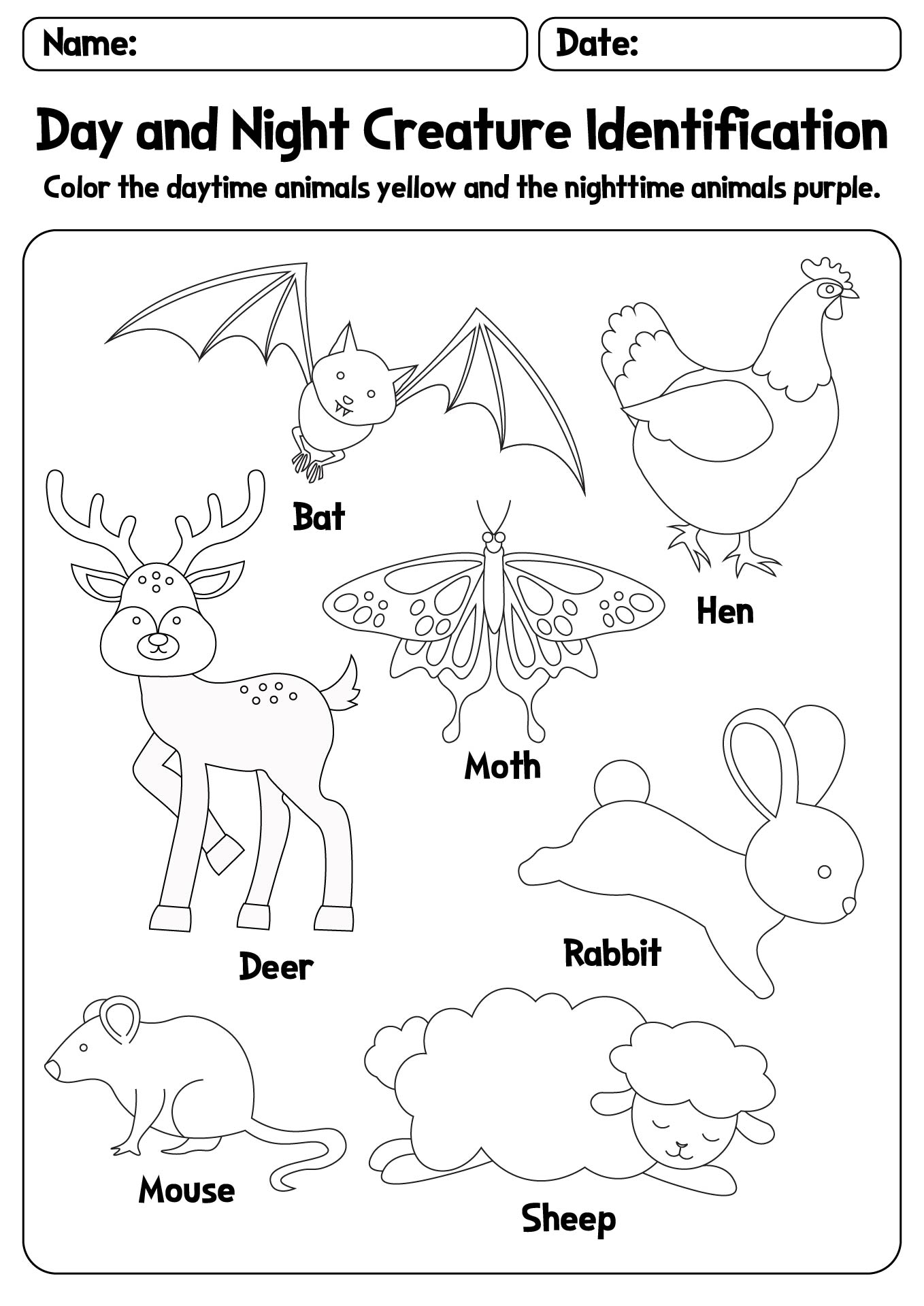 Day and Night Creature Identification Worksheet