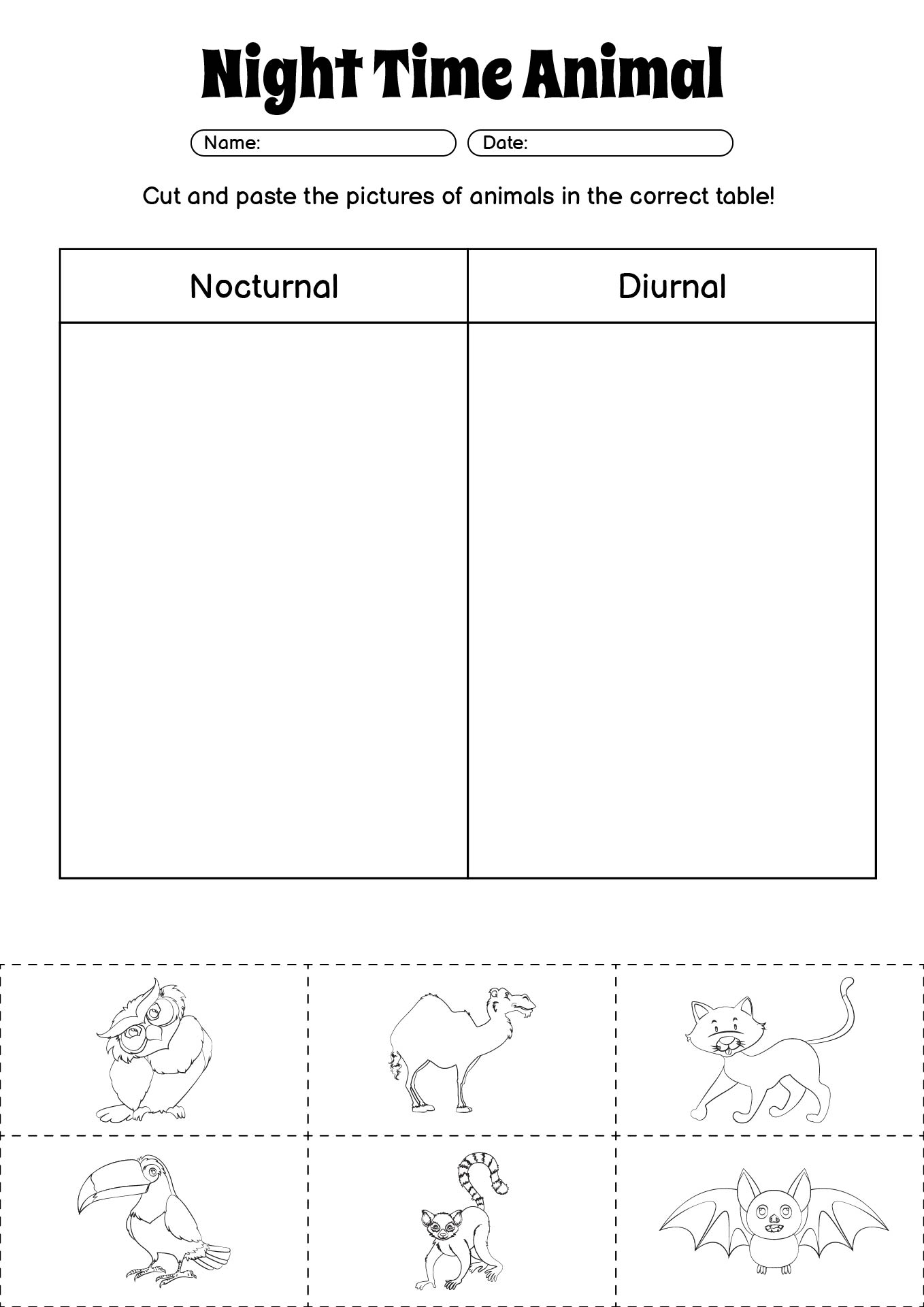 Night Time Animal Behavior Worksheet