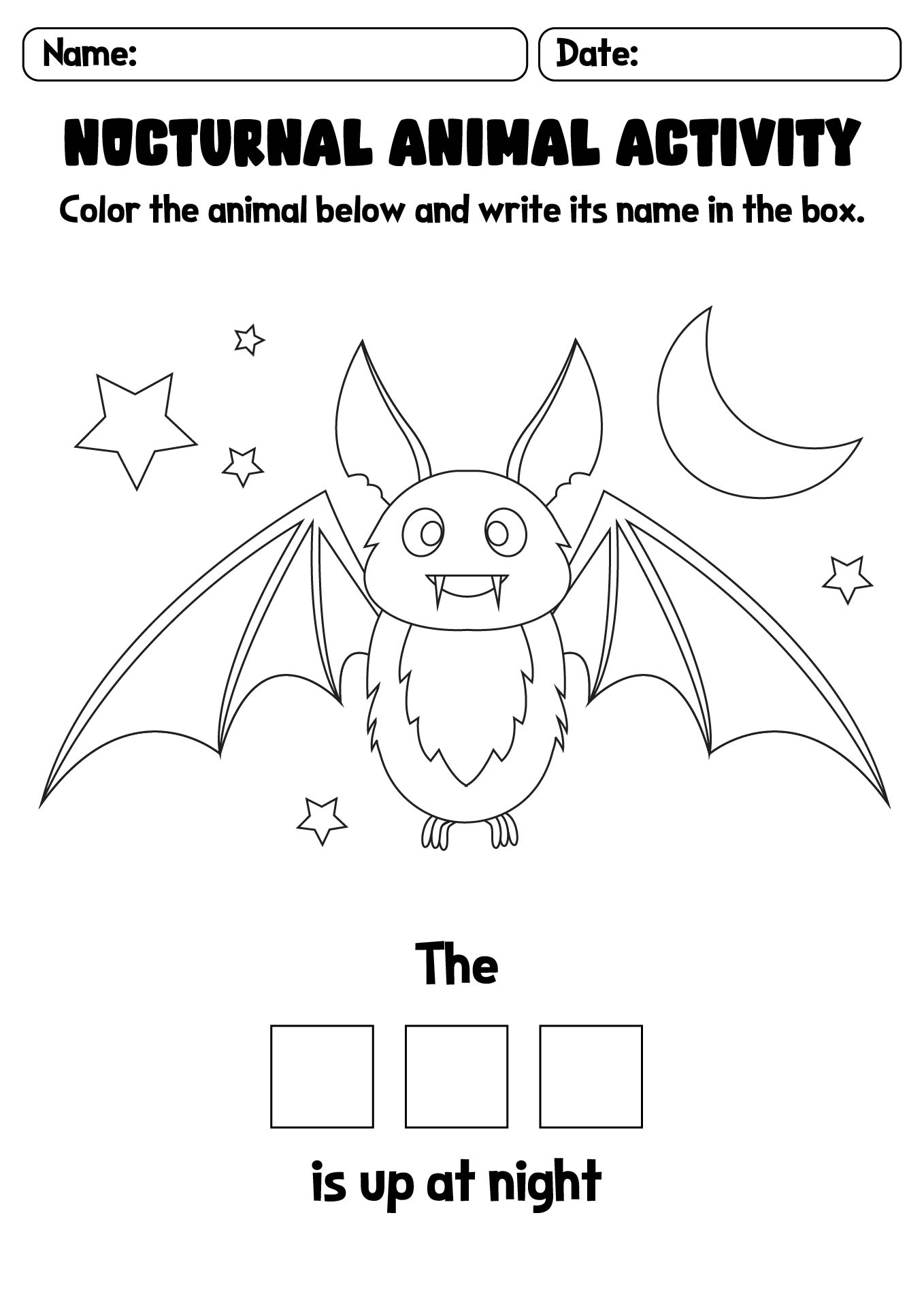 Nocturnal Animals Activity Sheets for Kids