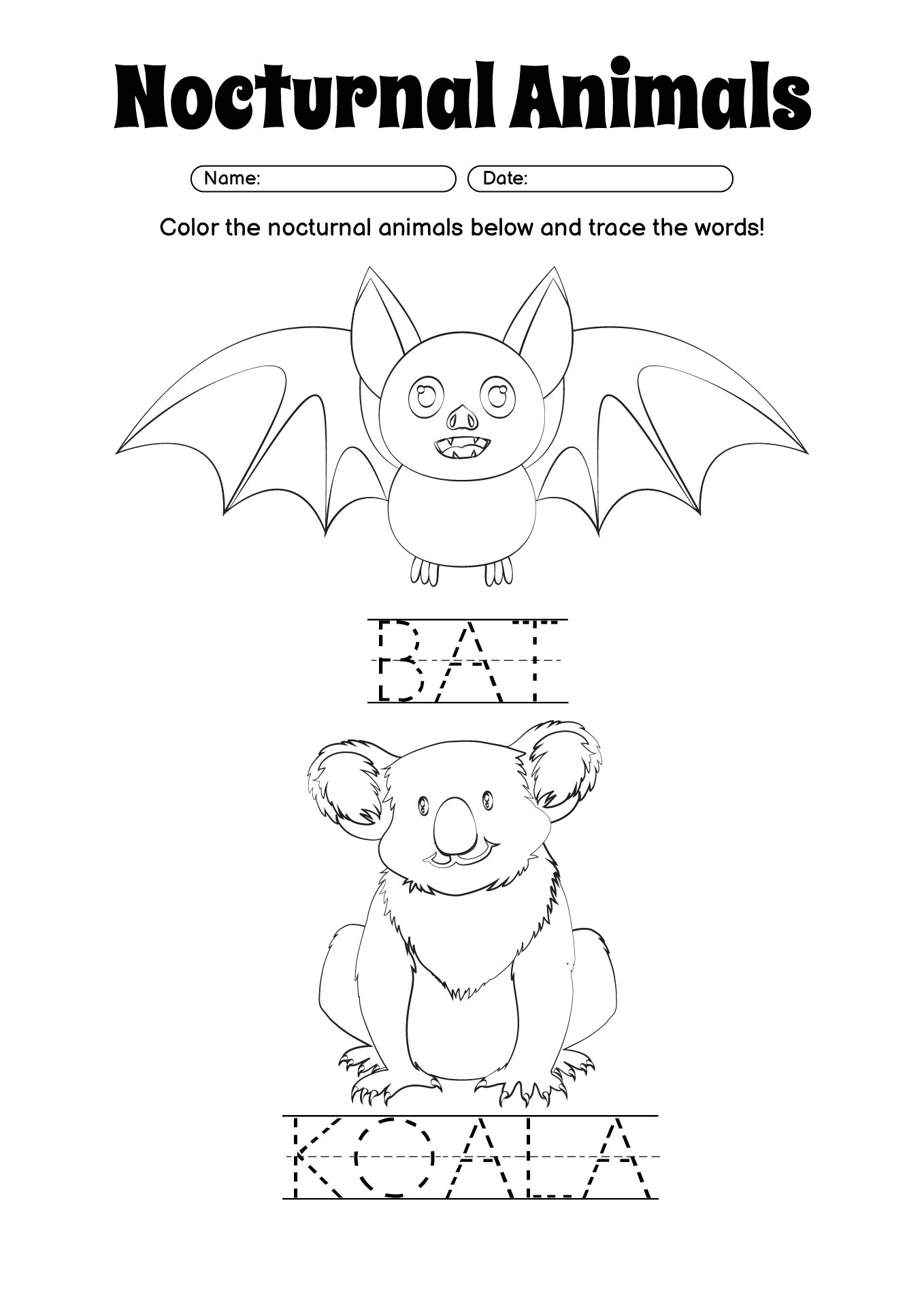 Nocturnal Animals Study Worksheet