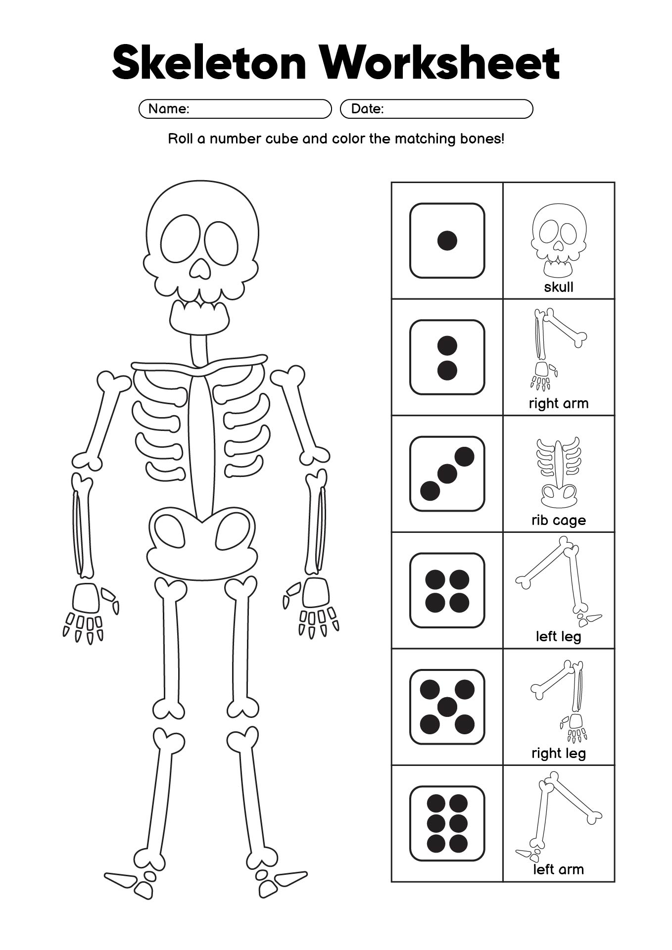 Printable Skeleton Worksheets for Kids