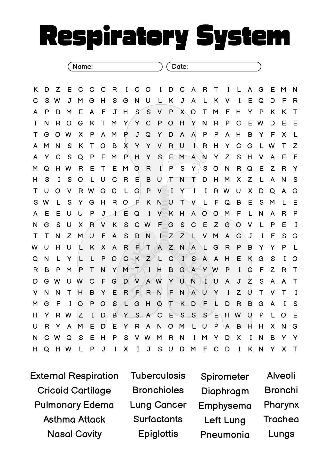 Respiratory Function Worksheet Answer Sheet