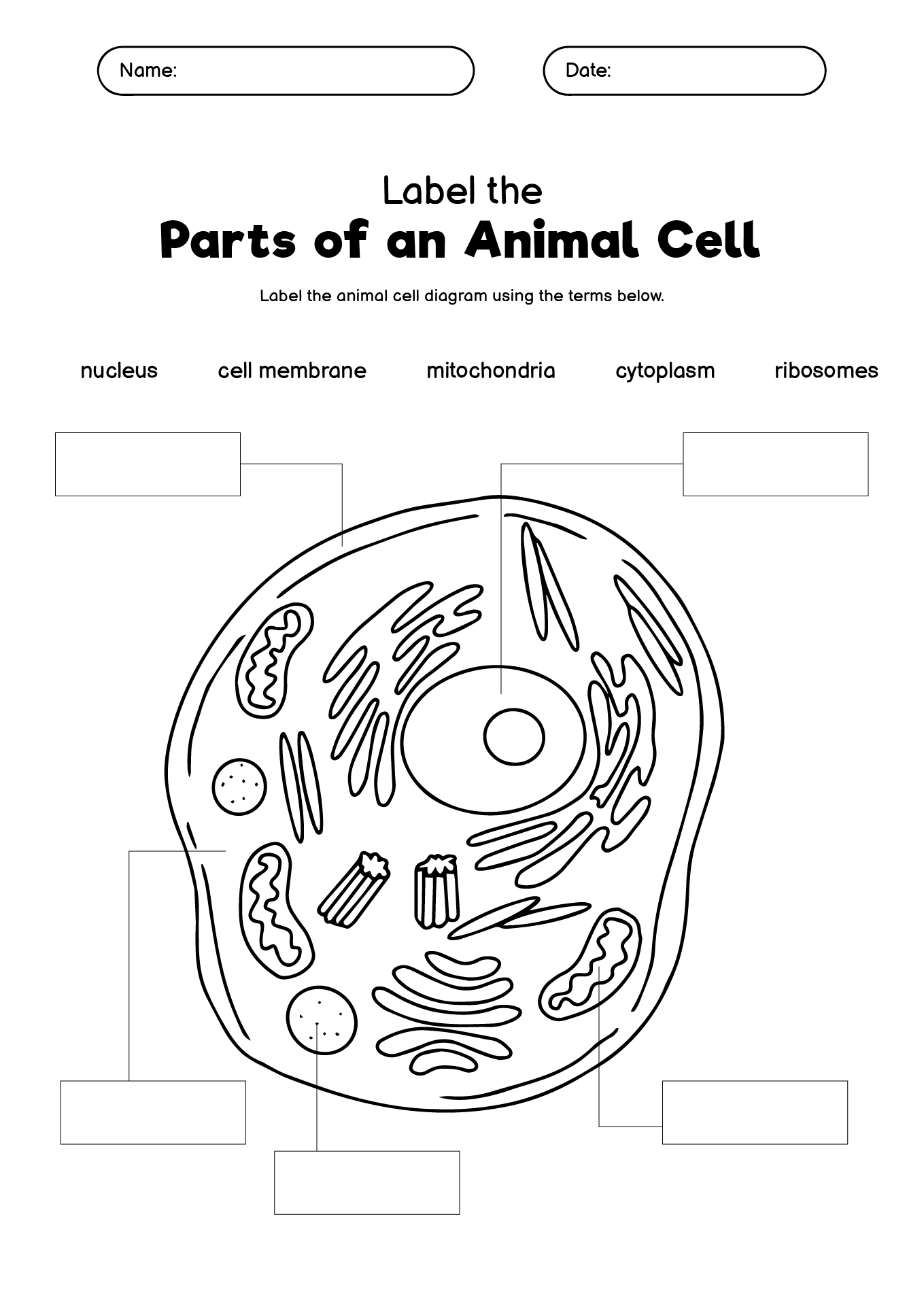 6th Grade Life Science Worksheets