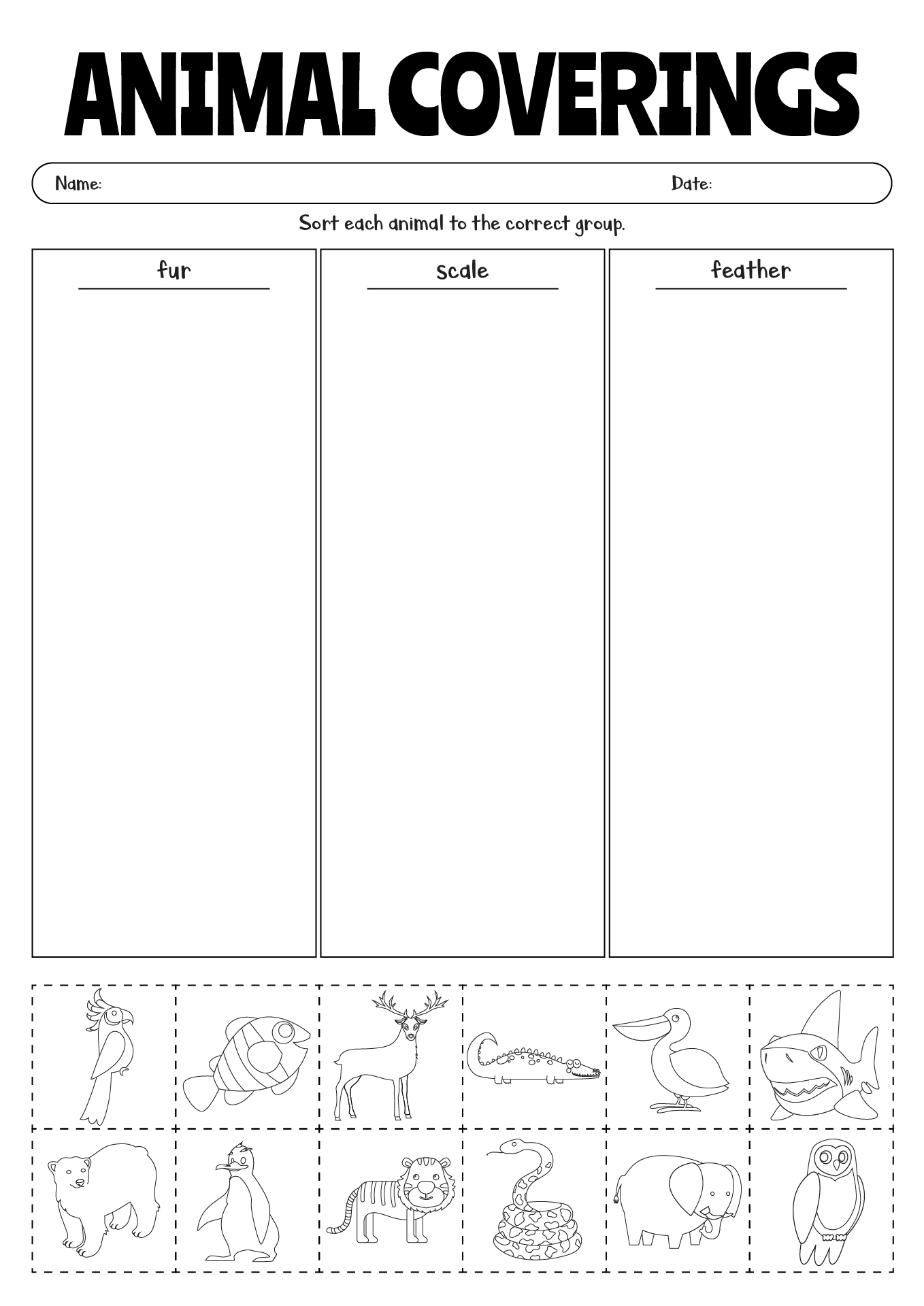 Animal Coverings Activity Sheets For Kindergarten