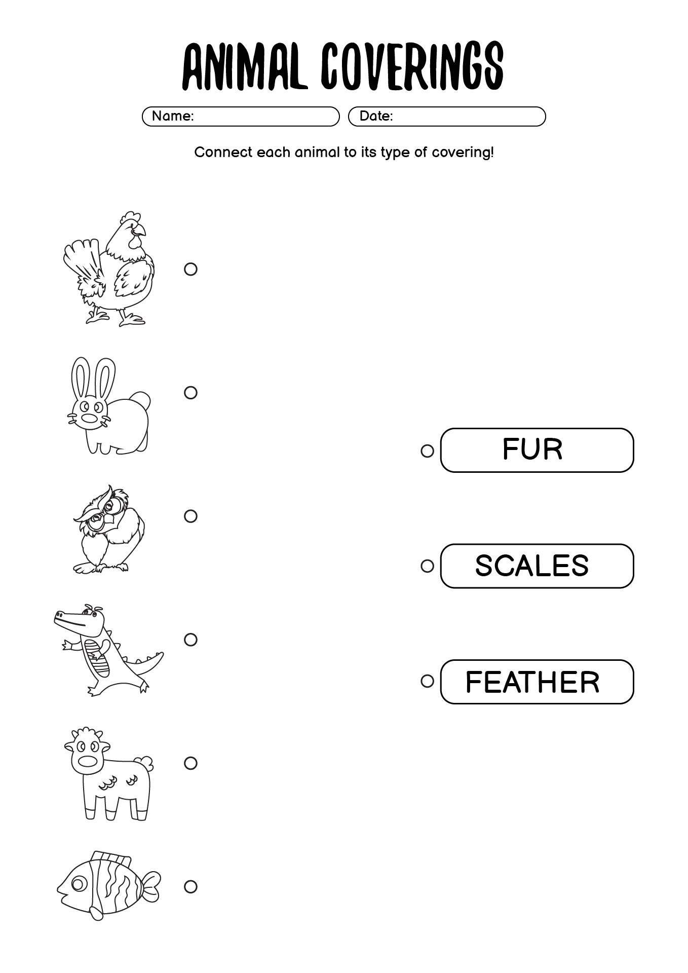 Animal Coverings Worksheets for Kindergarten