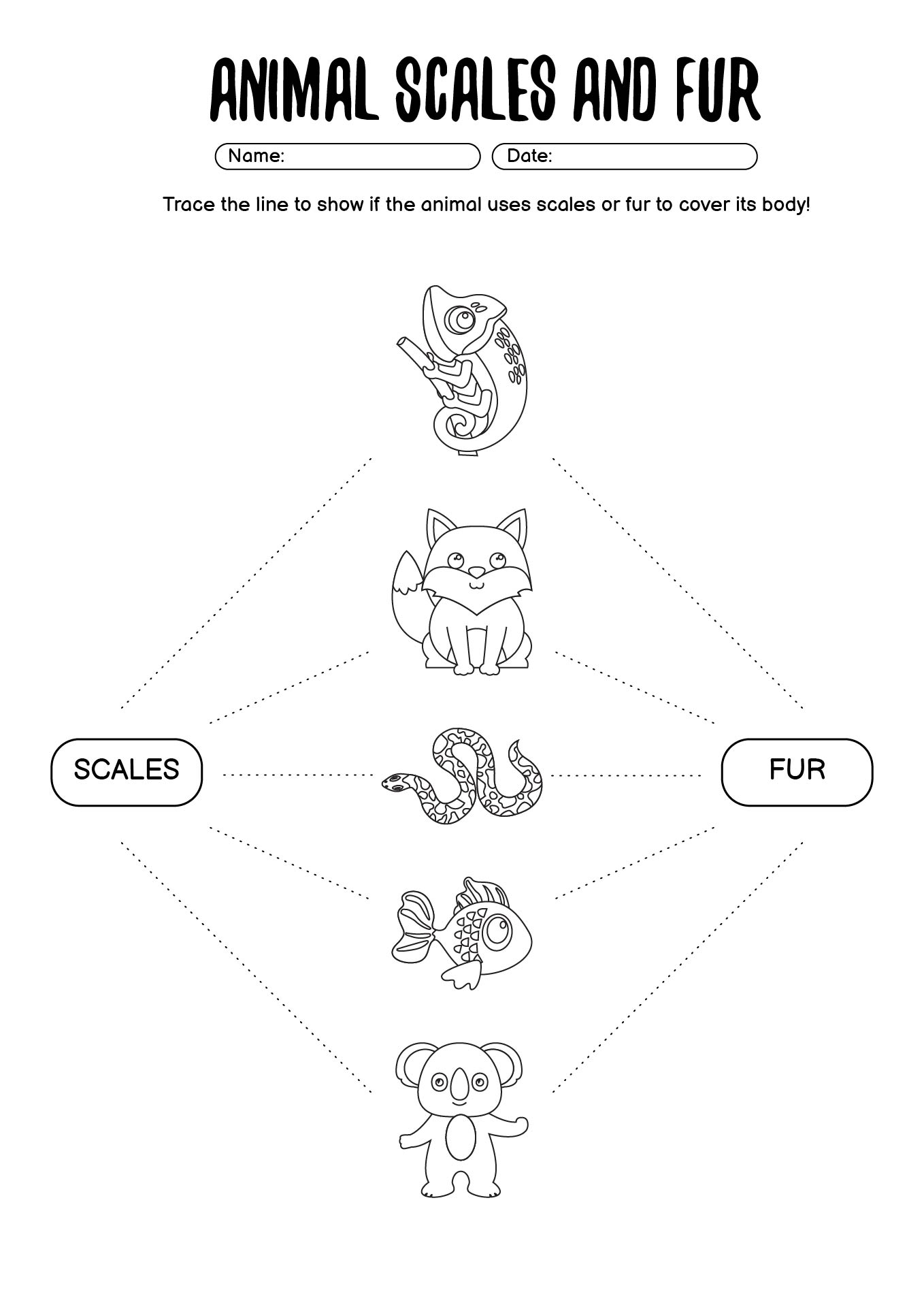 Animal Scales and Fur Worksheets for Young Students