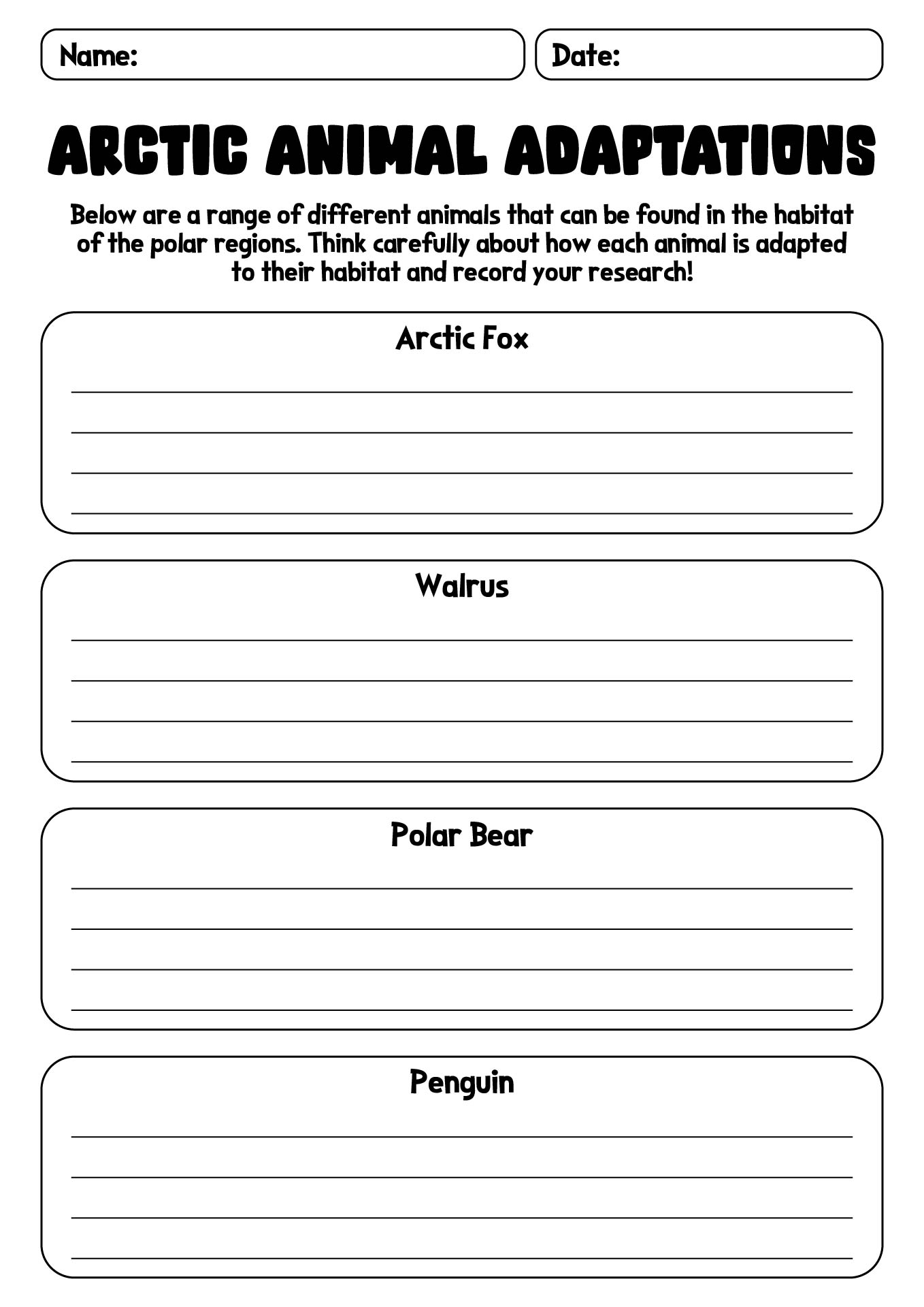 Arctic Animal Adaptations Worksheet