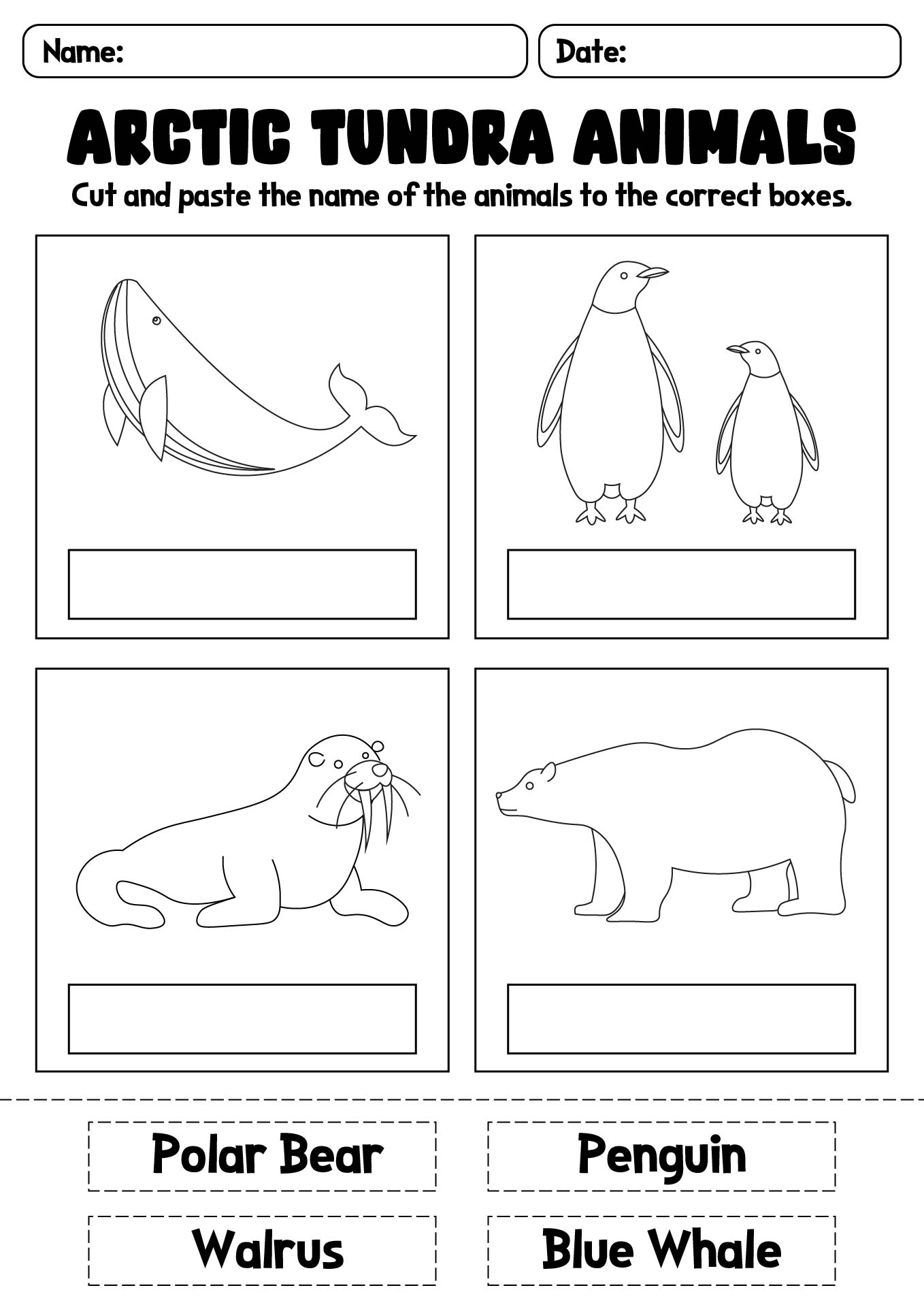 Arctic Tundra Animals Activity Sheet