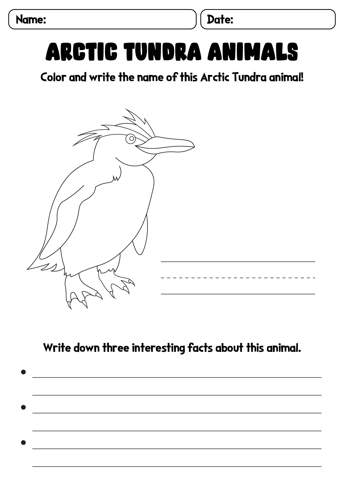 Arctic Tundra Animals Activity Sheet