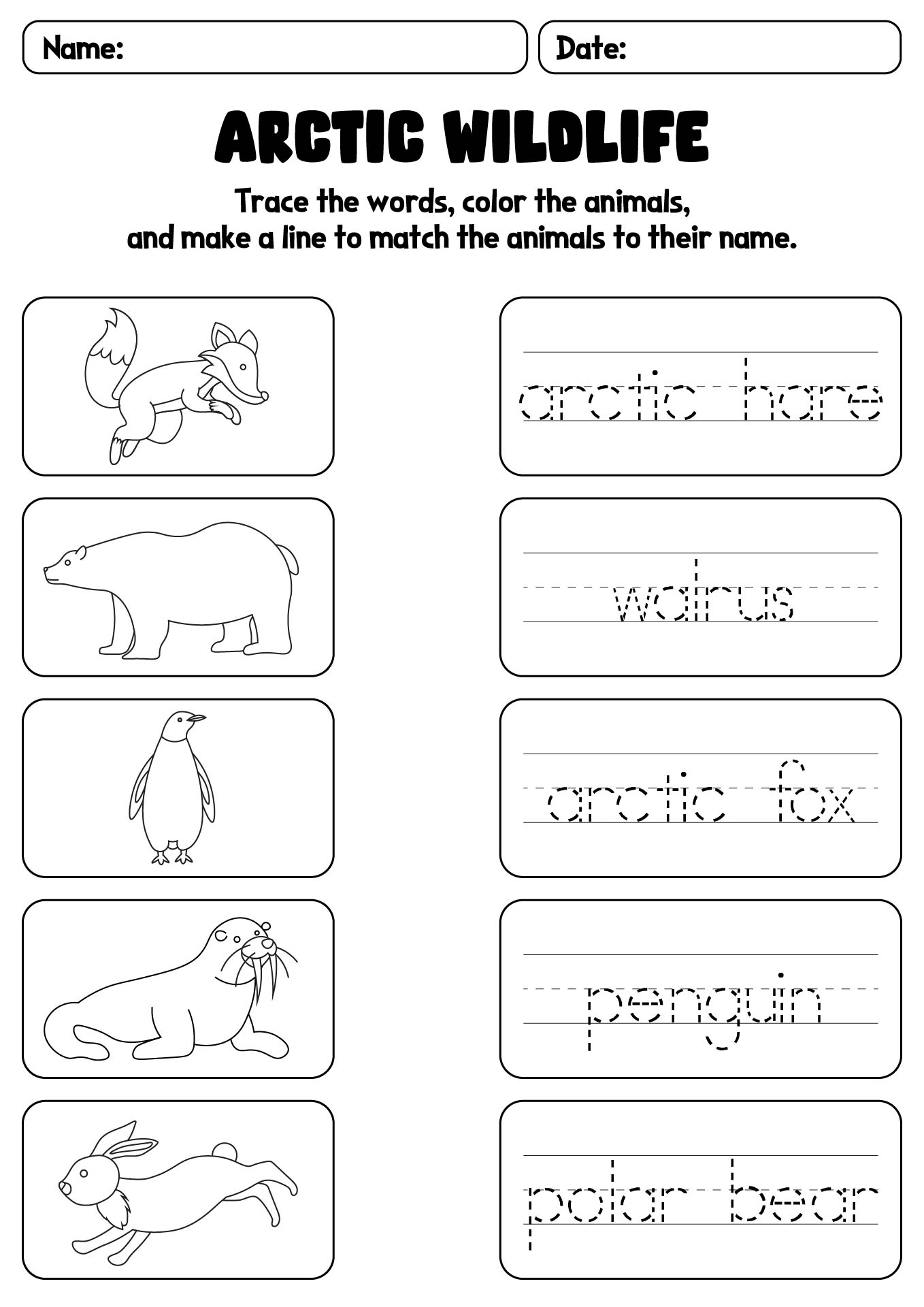 Arctic Wildlife Identification Worksheet