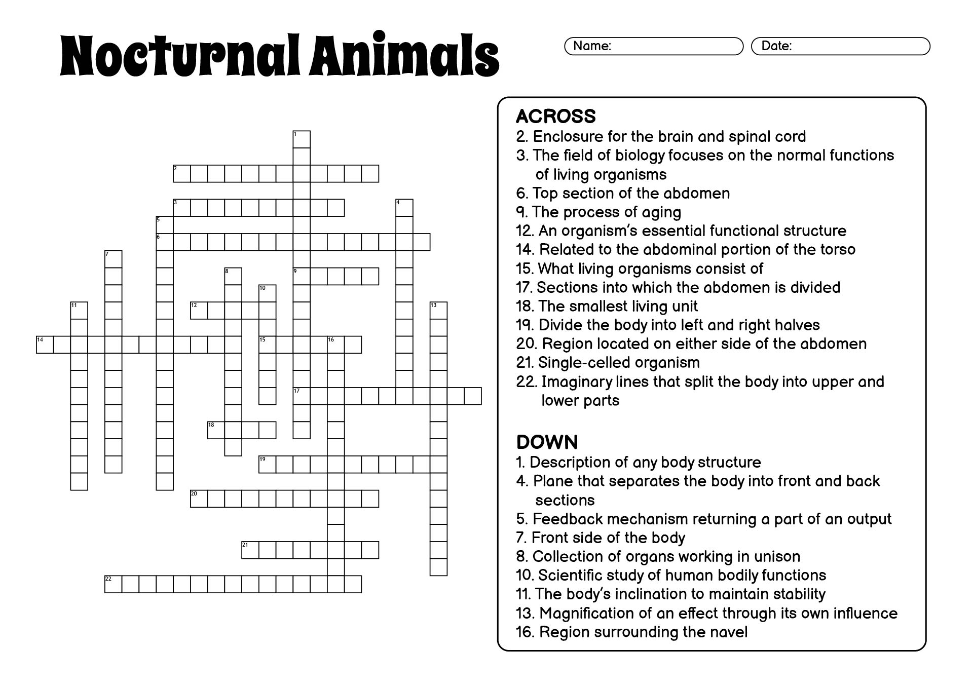 College-Level Anatomy and Physiology Worksheet Bundles