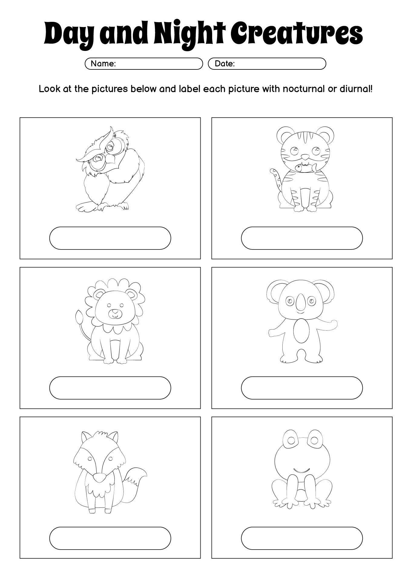 Day versus Night Creatures Worksheet