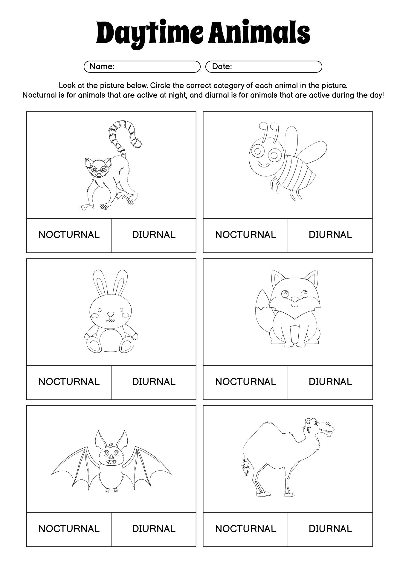 Daytime Animals Activity Sheet