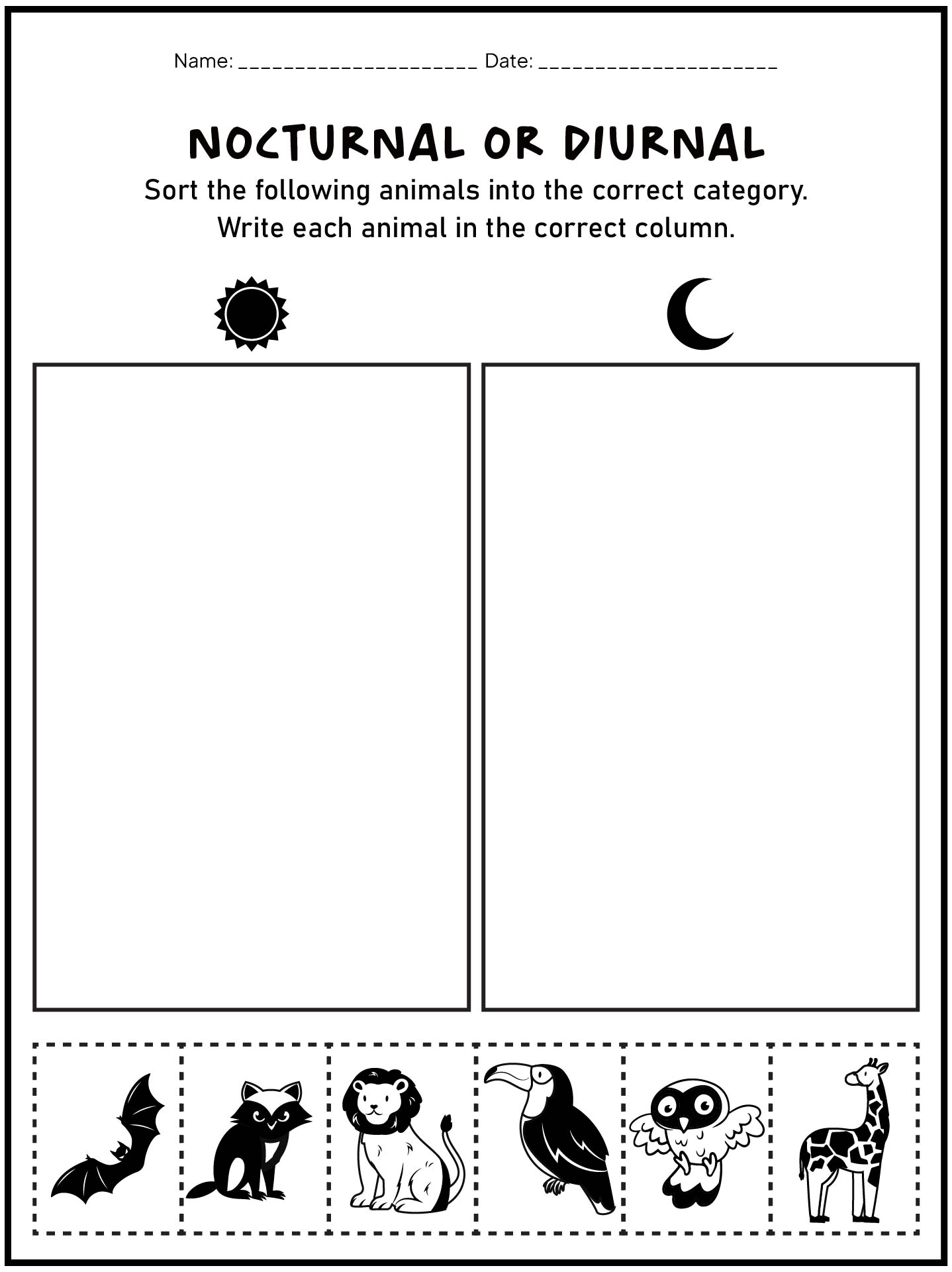 Diurnal and Nocturnal Animals Worksheet