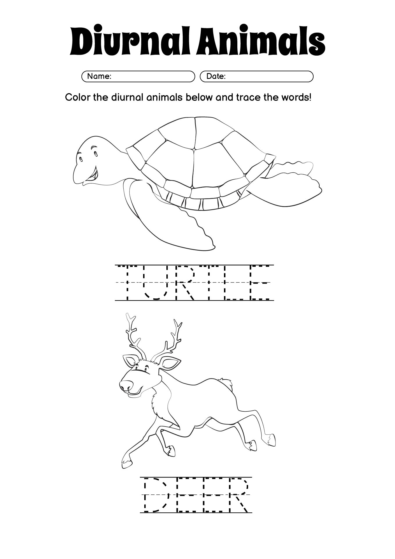 Diurnal Animals Educational Worksheet