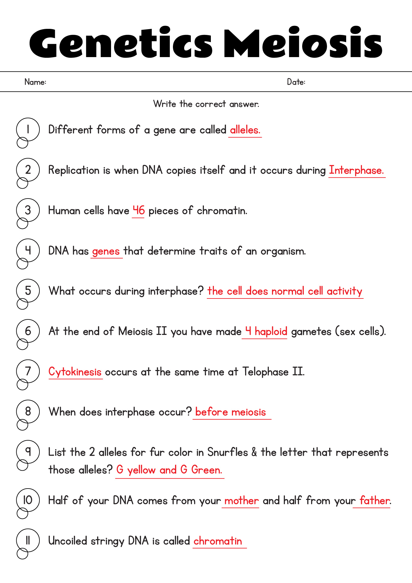 Genetics Meiosis Worksheet Answer Key