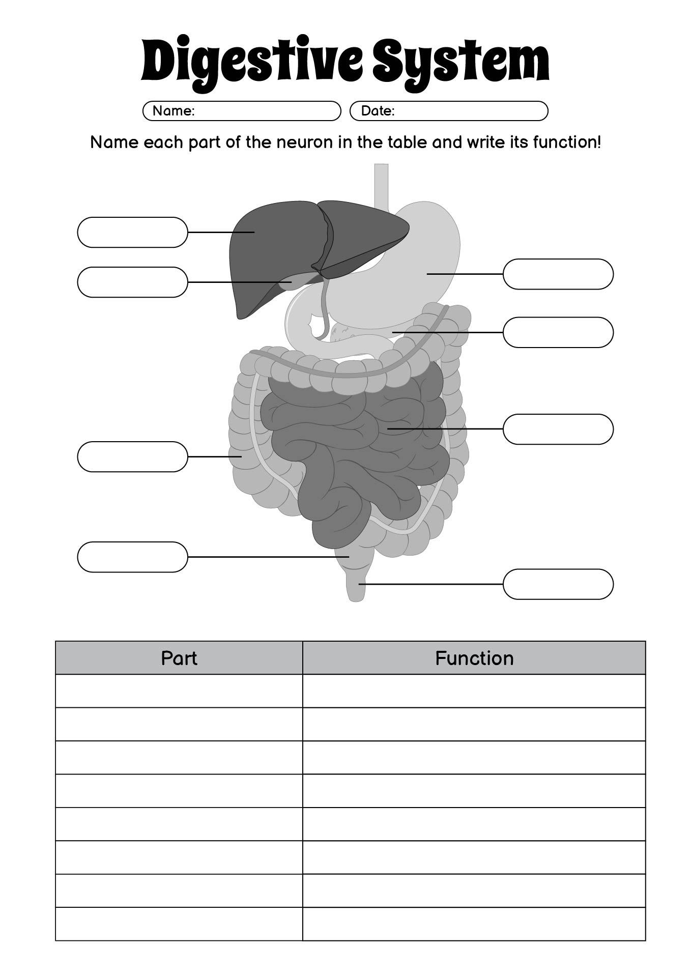 High School Anatomy and Physiology Lesson Handouts