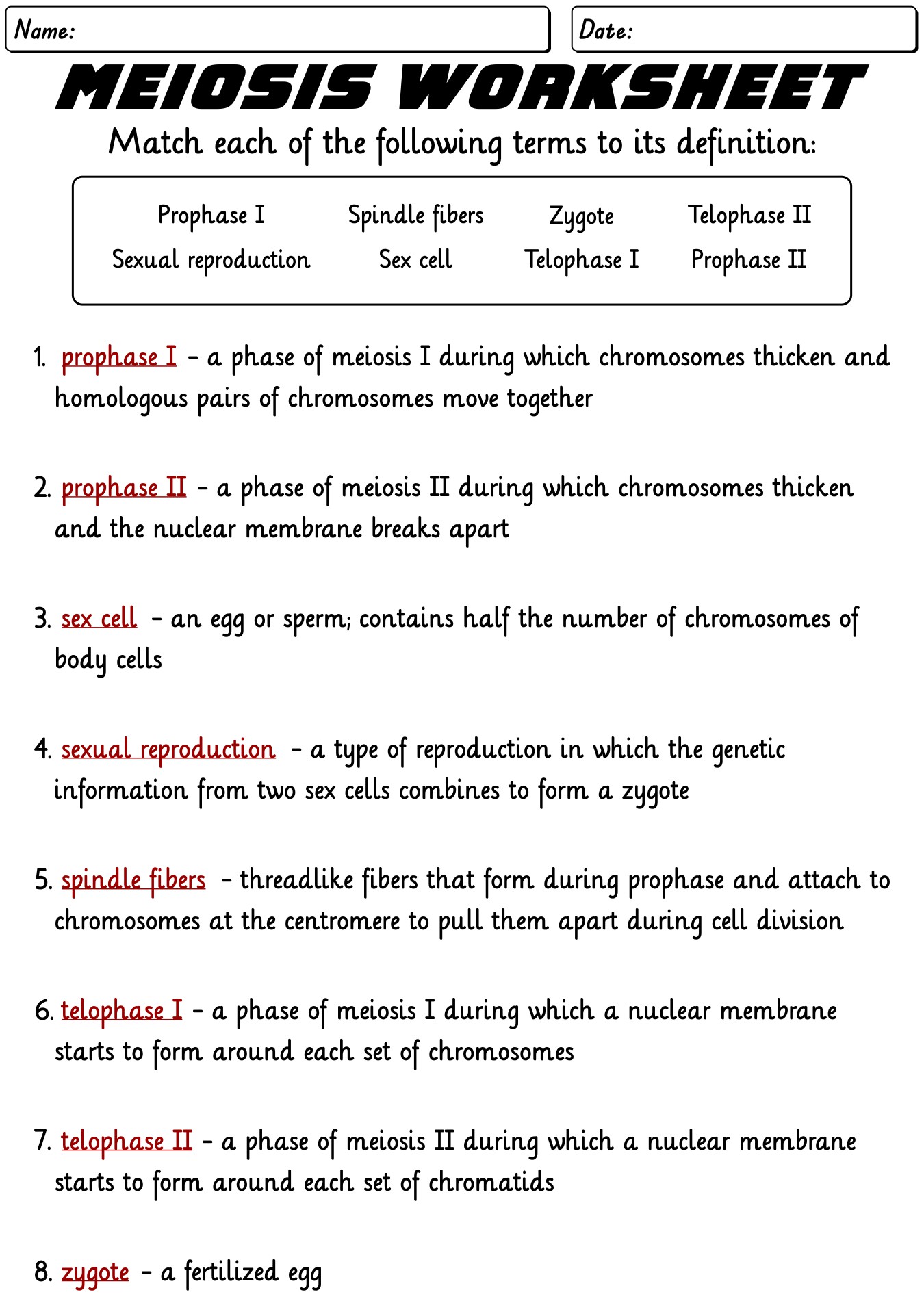 High School Meiosis Worksheet Answer Key