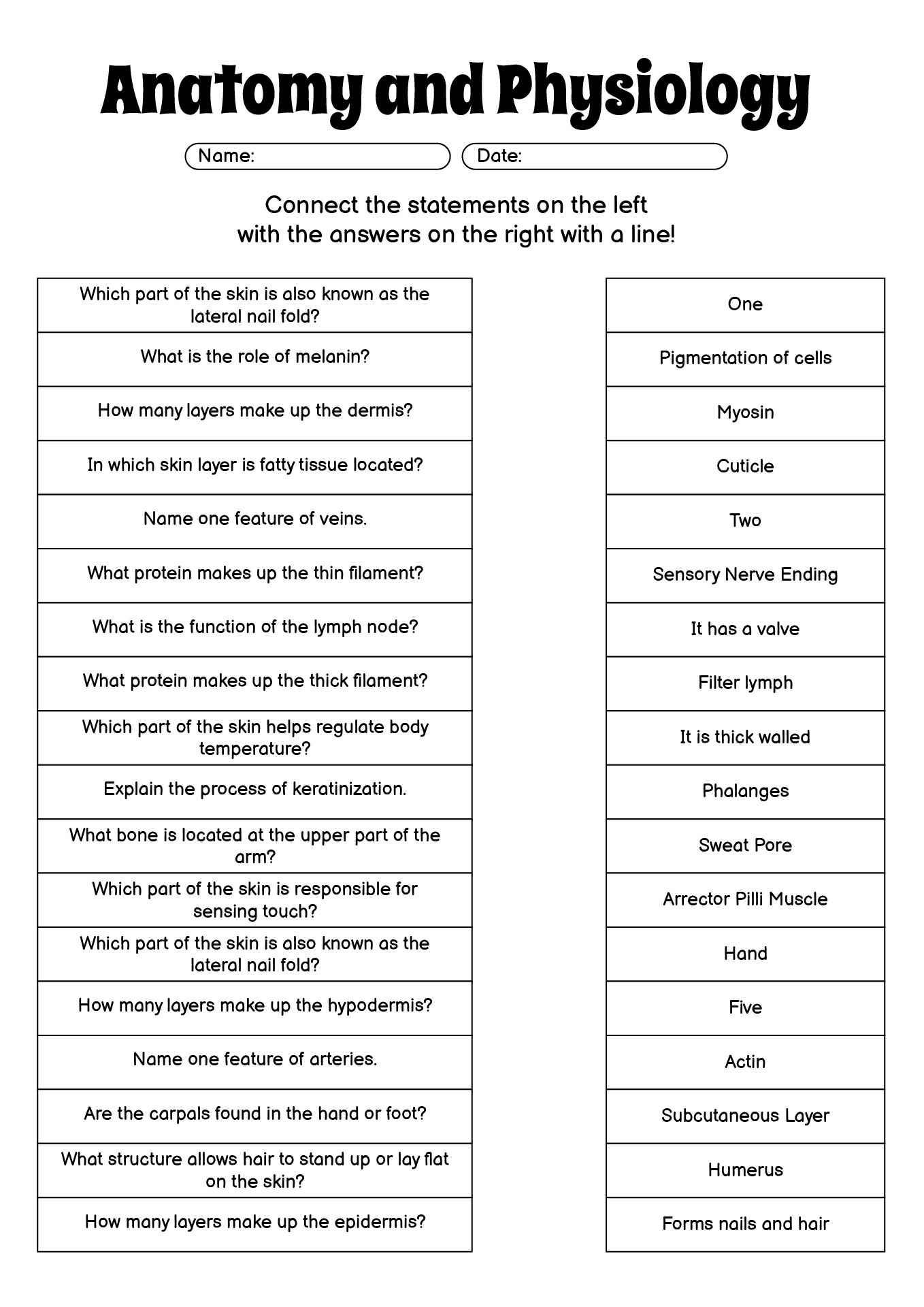 Interactive Anatomy and Physiology Study Packets