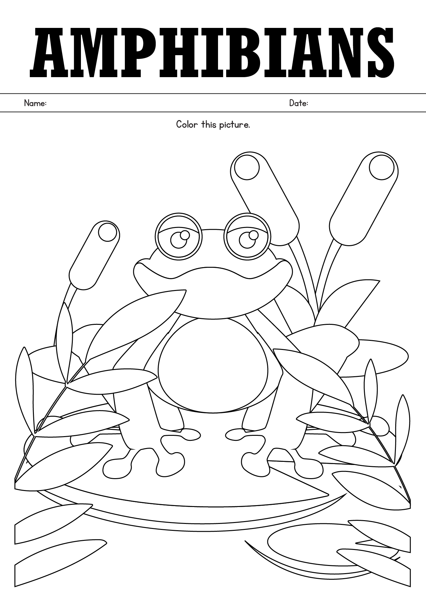 Introduction To Amphibians Coloring Sheets For Kindergarten