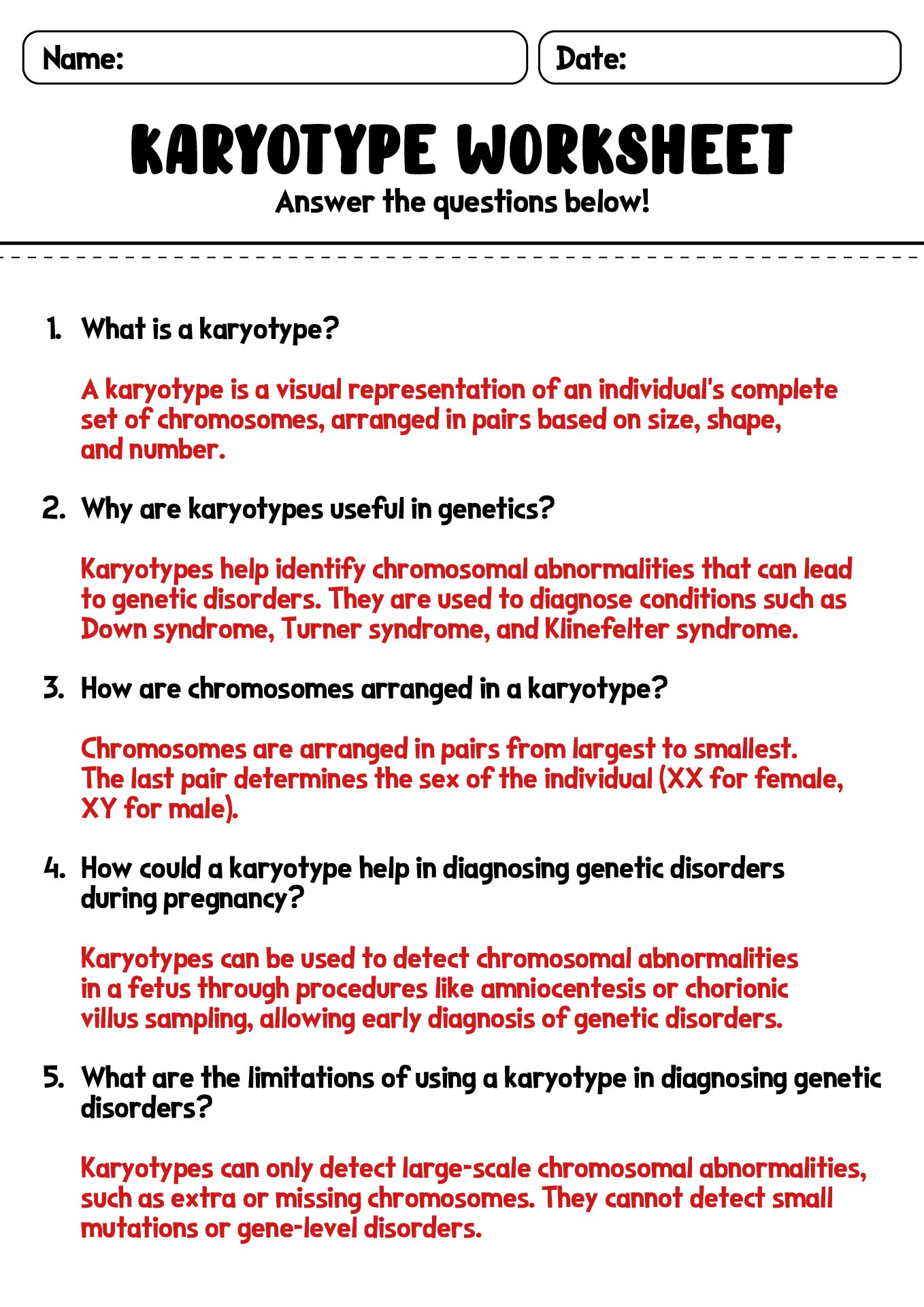 Karyotype Lab Worksheet with Answer Key