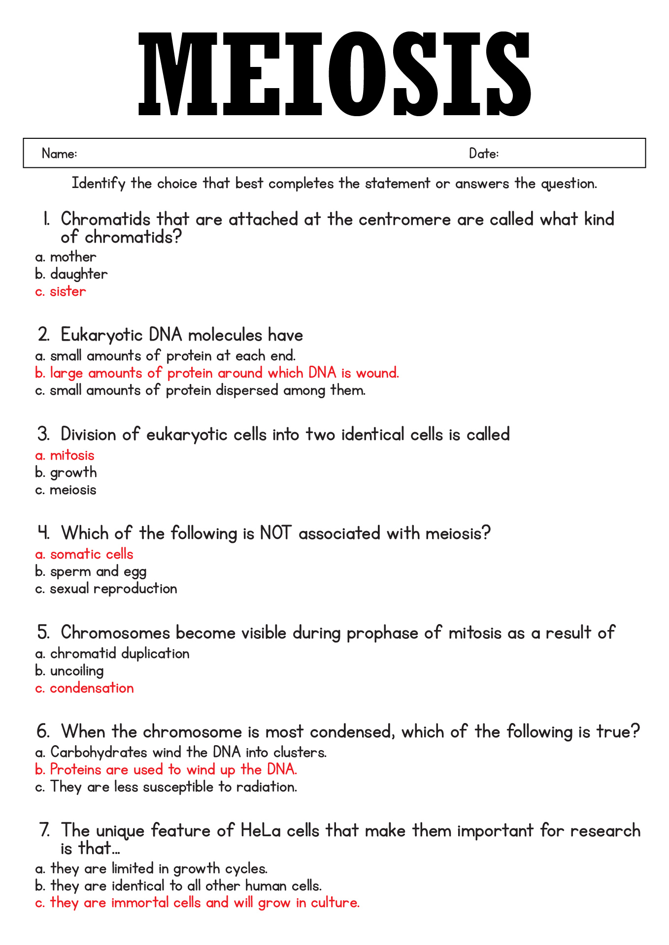 Meiosis Worksheet Answer Key Multiple Choice