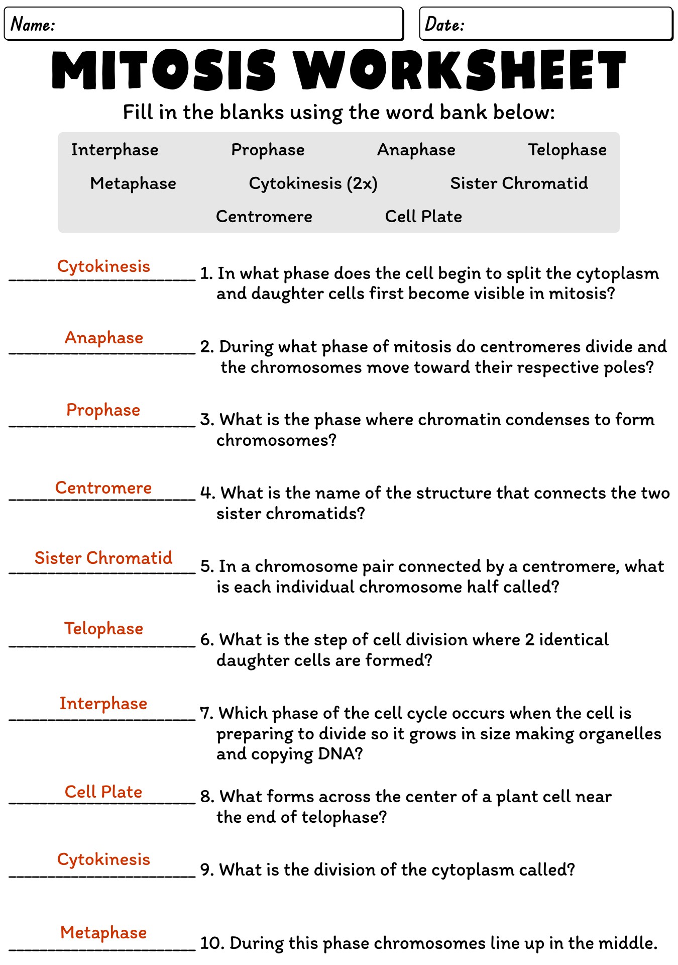 Meiosis Worksheet Answer Key Quizlet