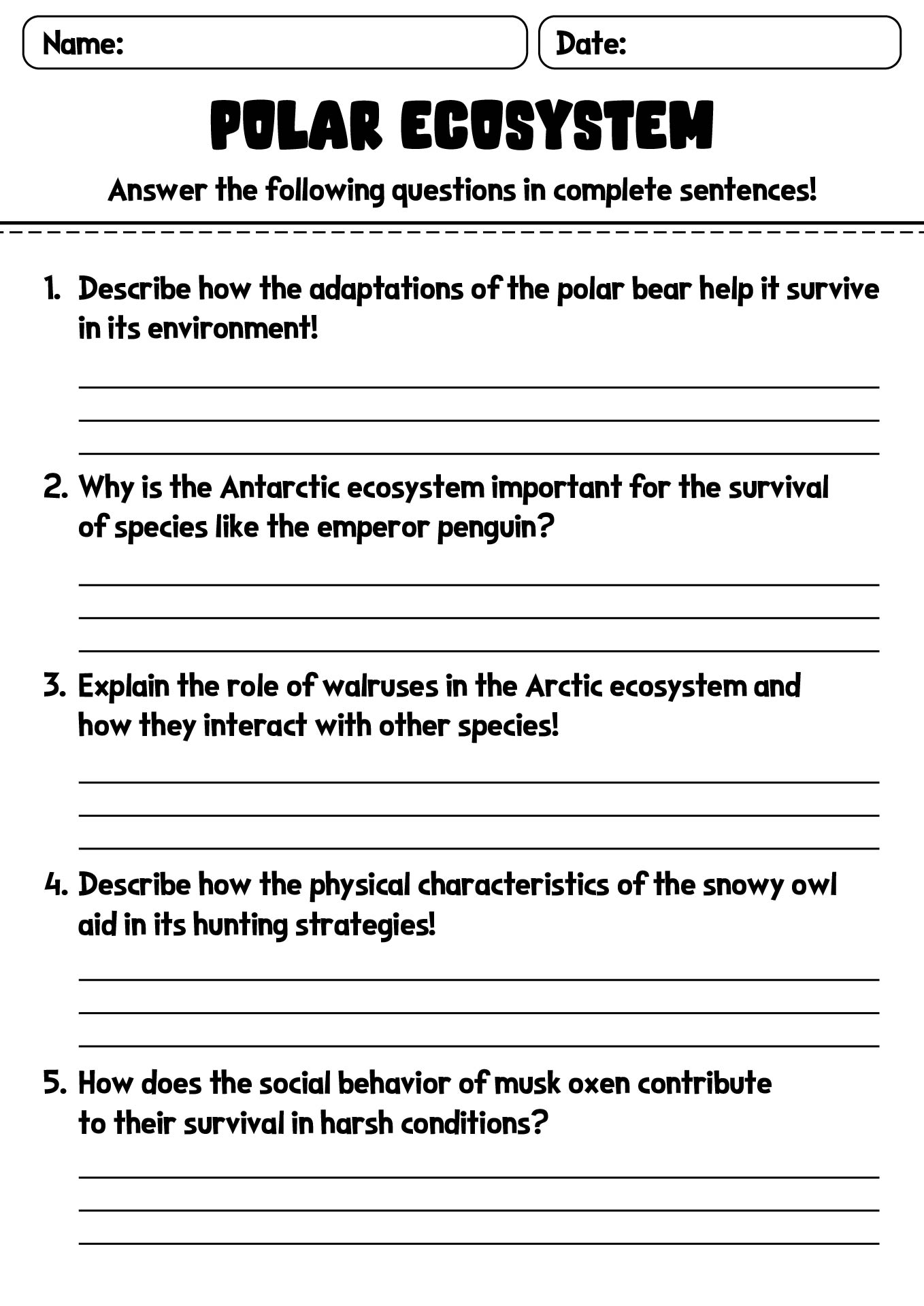 Polar Ecosystem Animals Study Guide