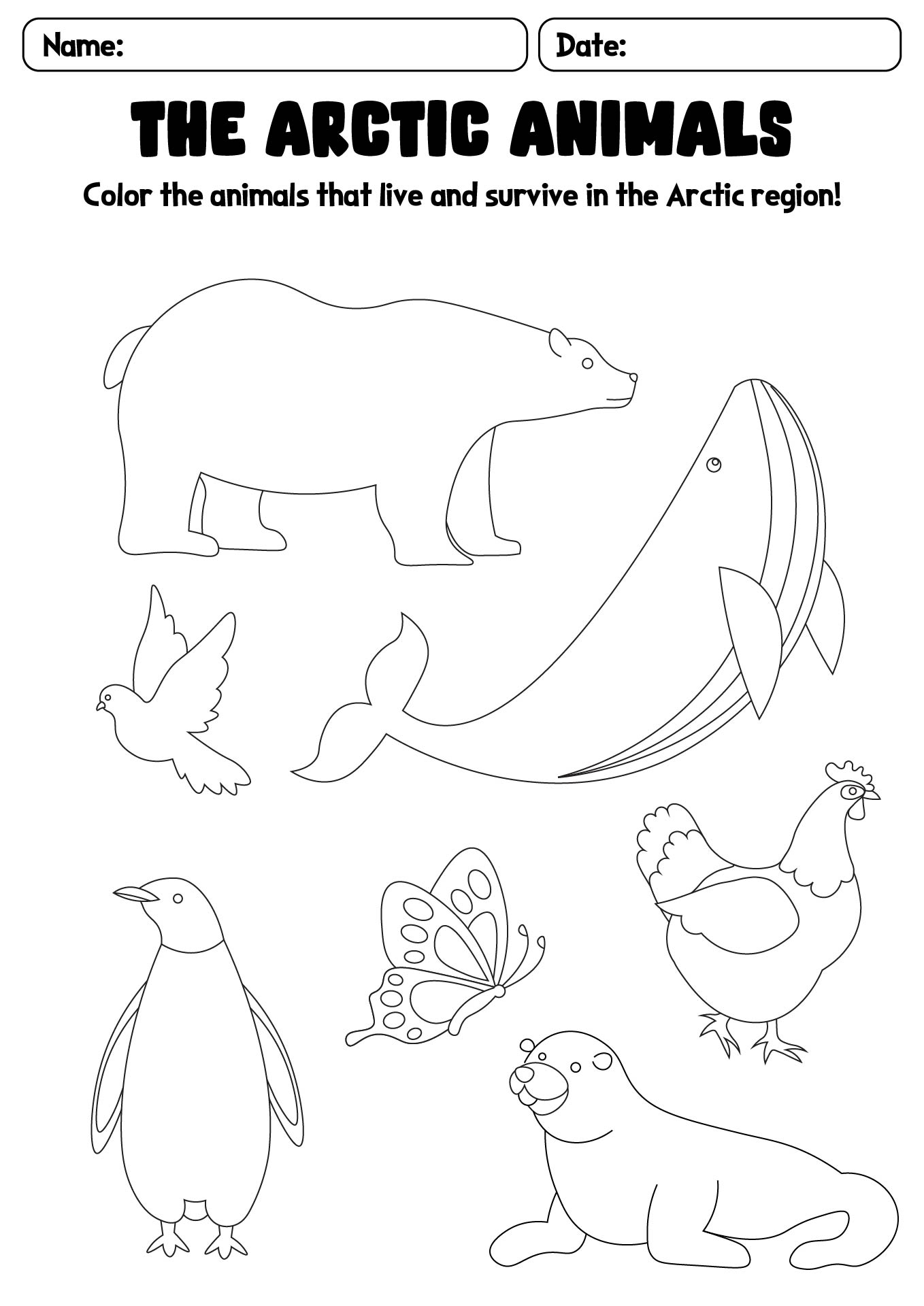 Polar Habitat Creatures Worksheet