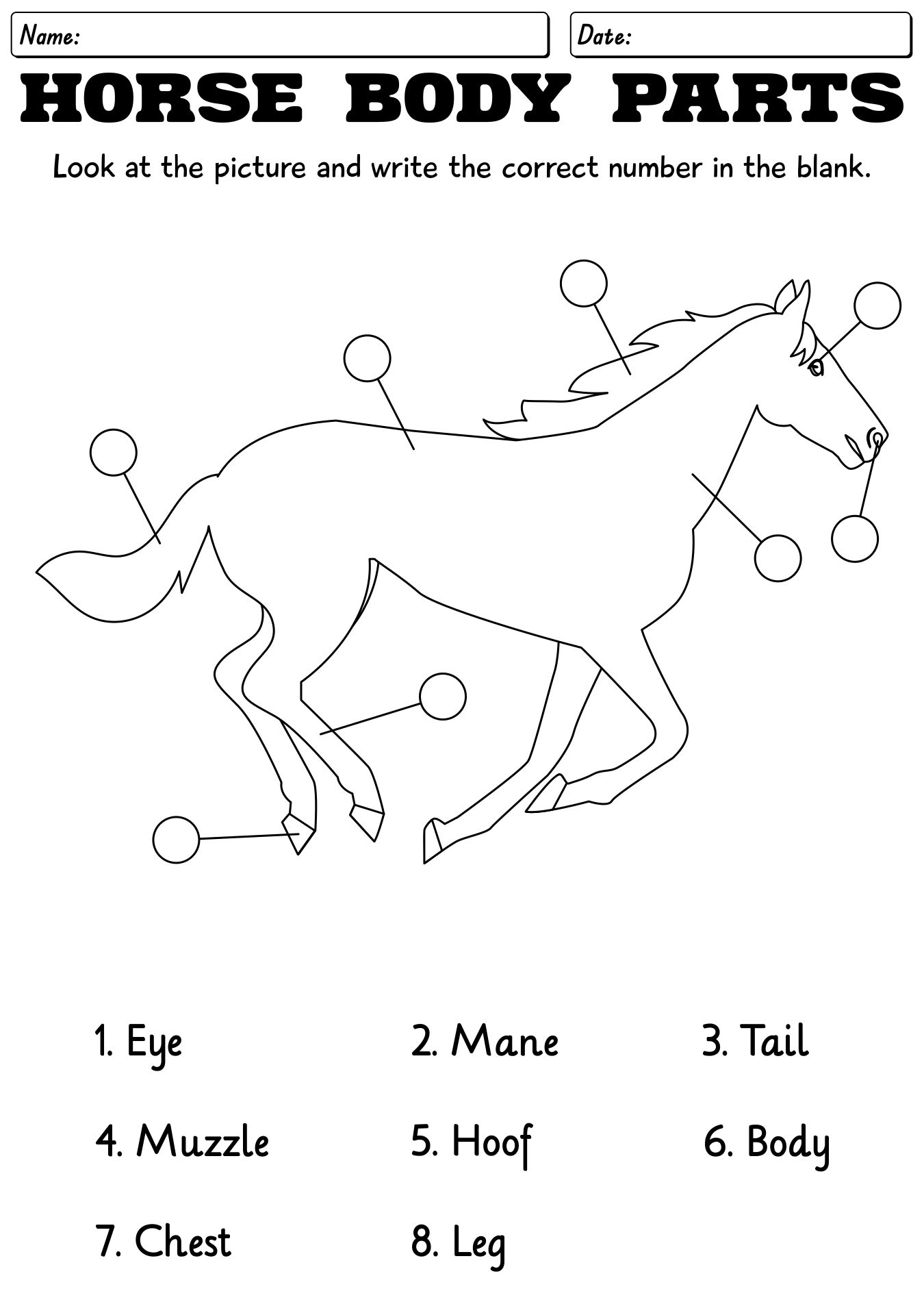 Horse Body Parts Worksheet