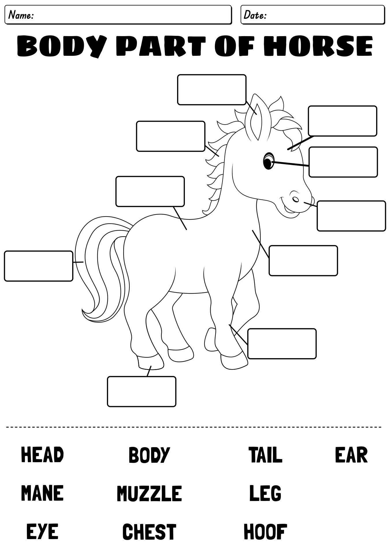 Parts of the Horse Chart Worksheet