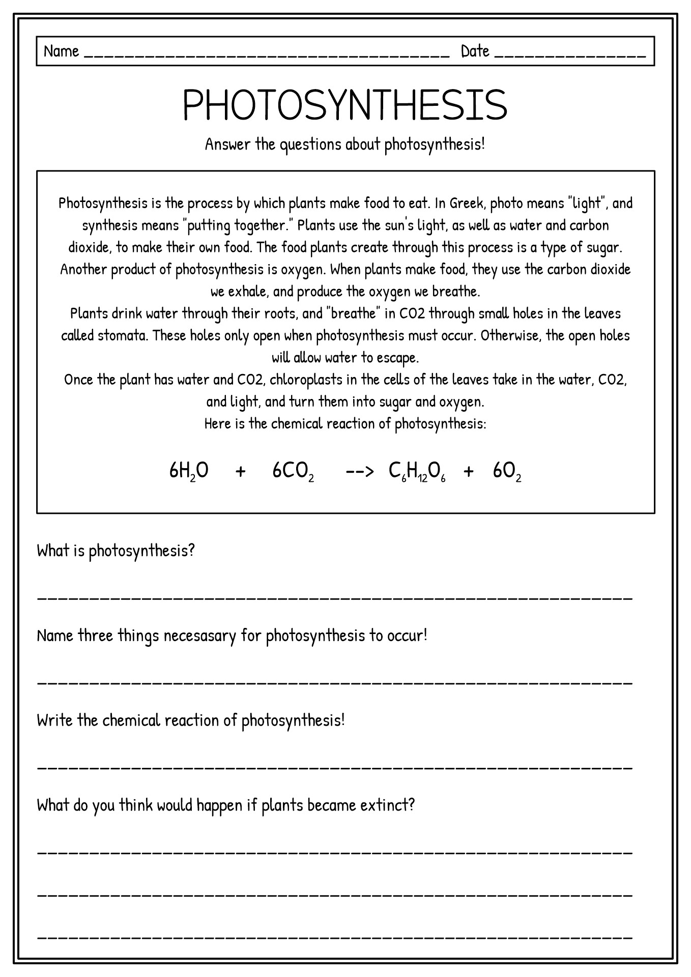 Photosynthesis Process Reading Comprehension Worksheets