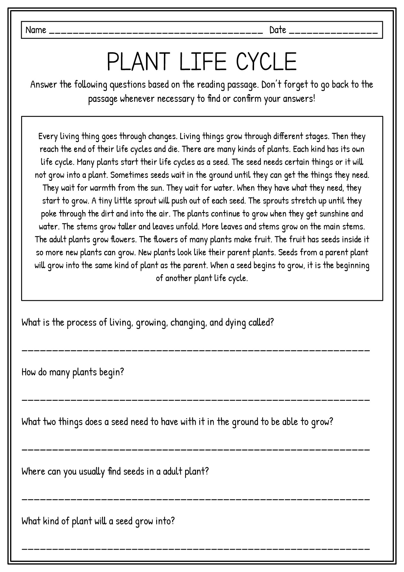 Plant Life Cycle Reading Comprehension Worksheets