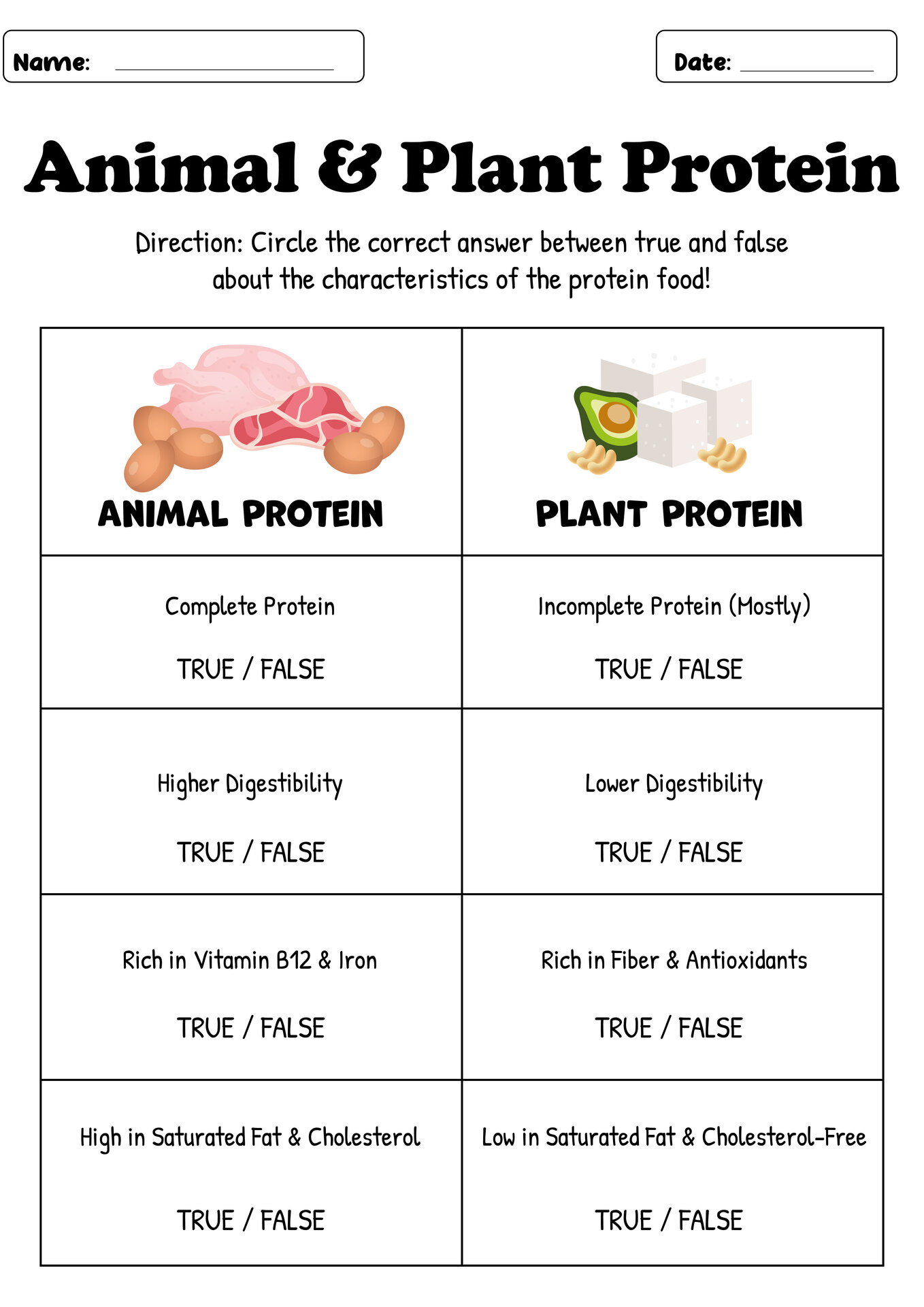 Animal vs Plant Protein Comparison Worksheets