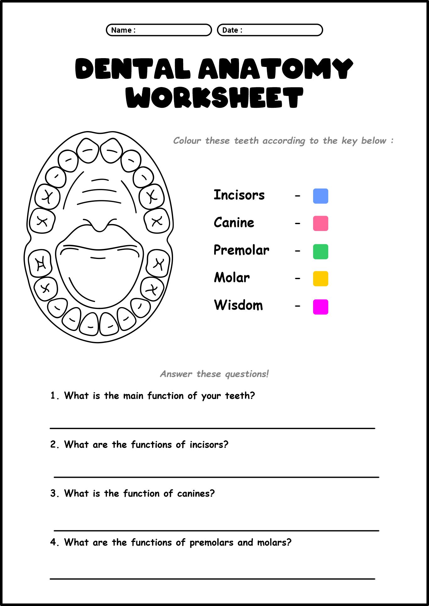 Dental Anatomy Educational Worksheets