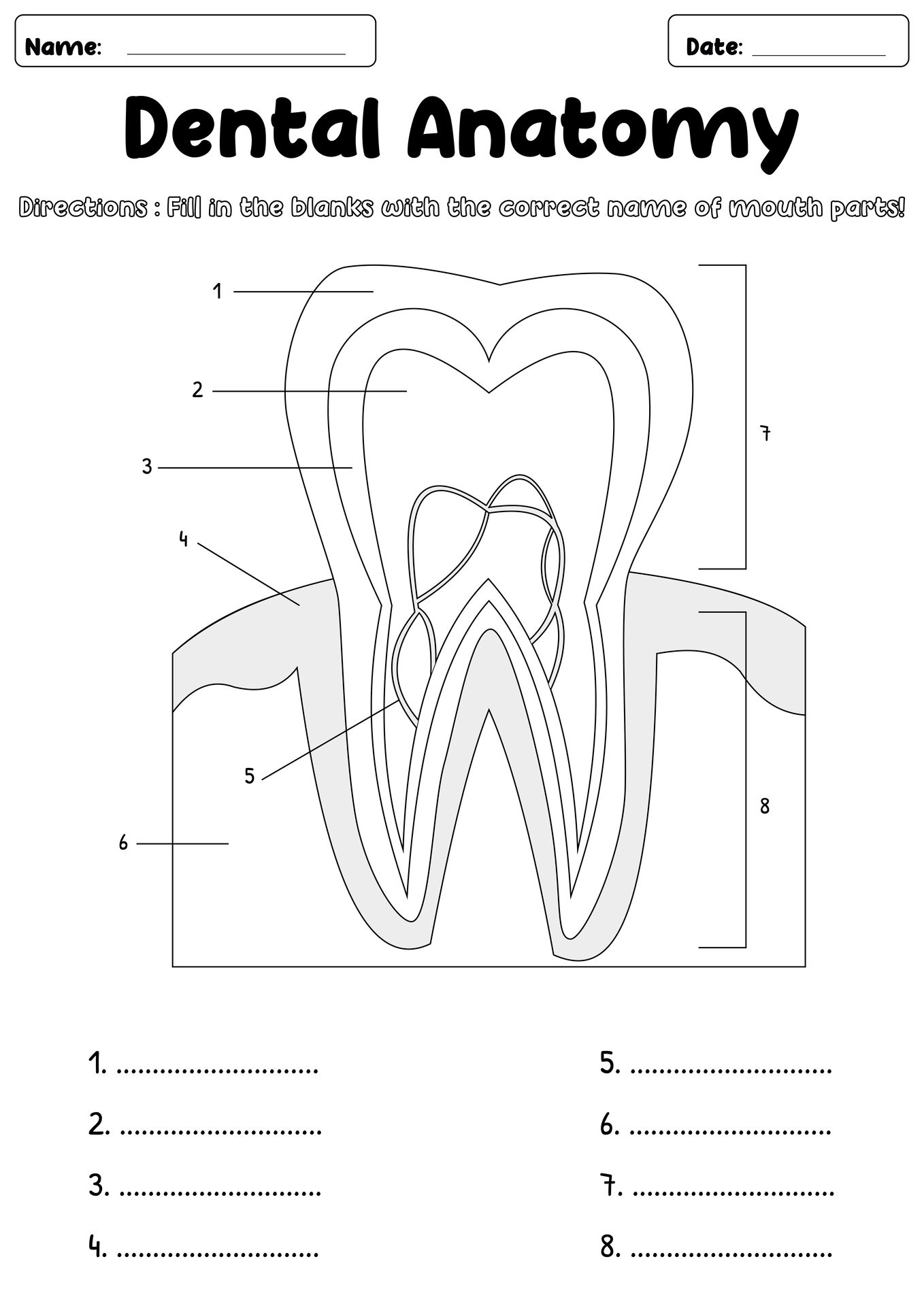 Dental Anatomy Practice Worksheets