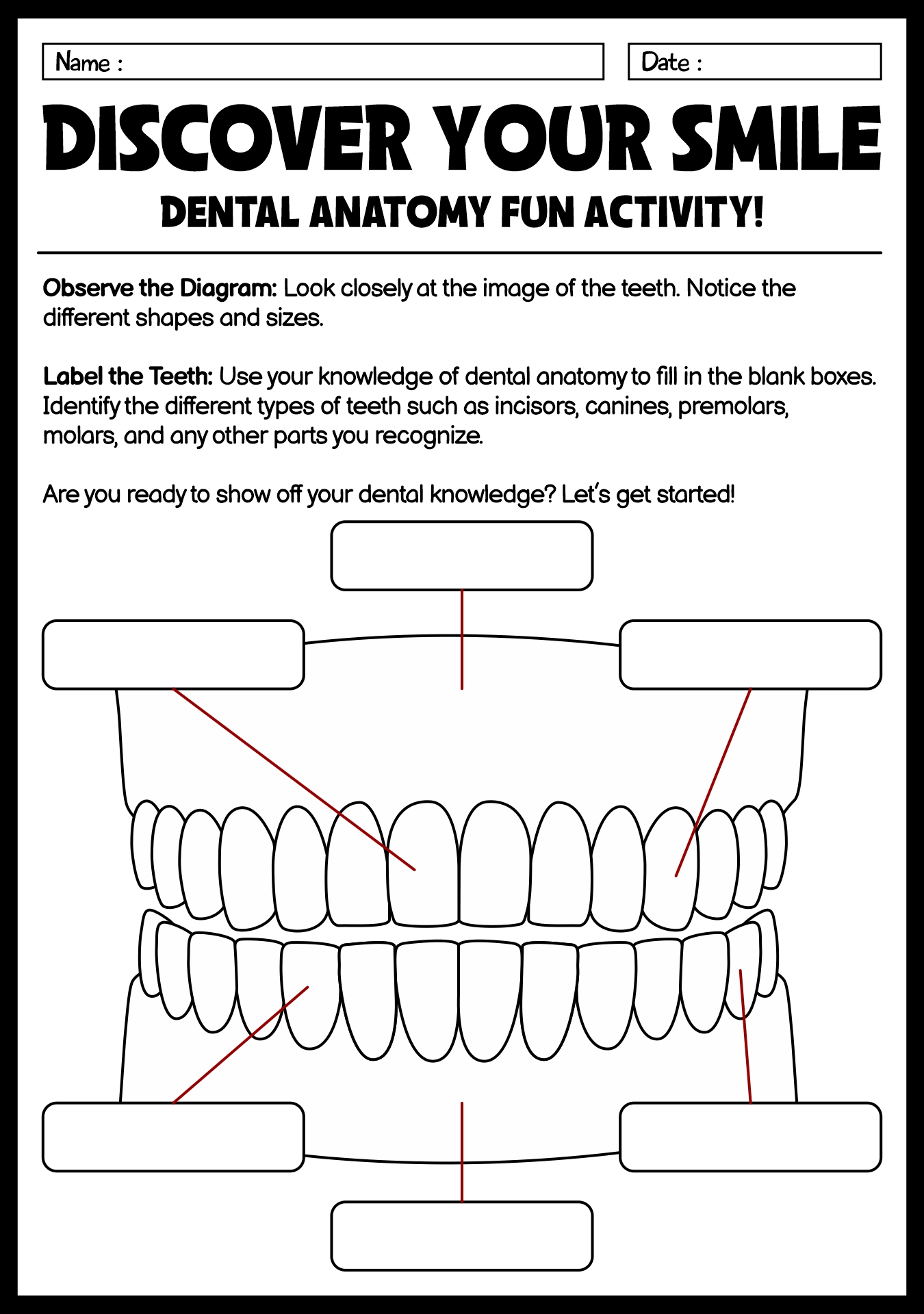 Dental Anatomy Study Worksheets