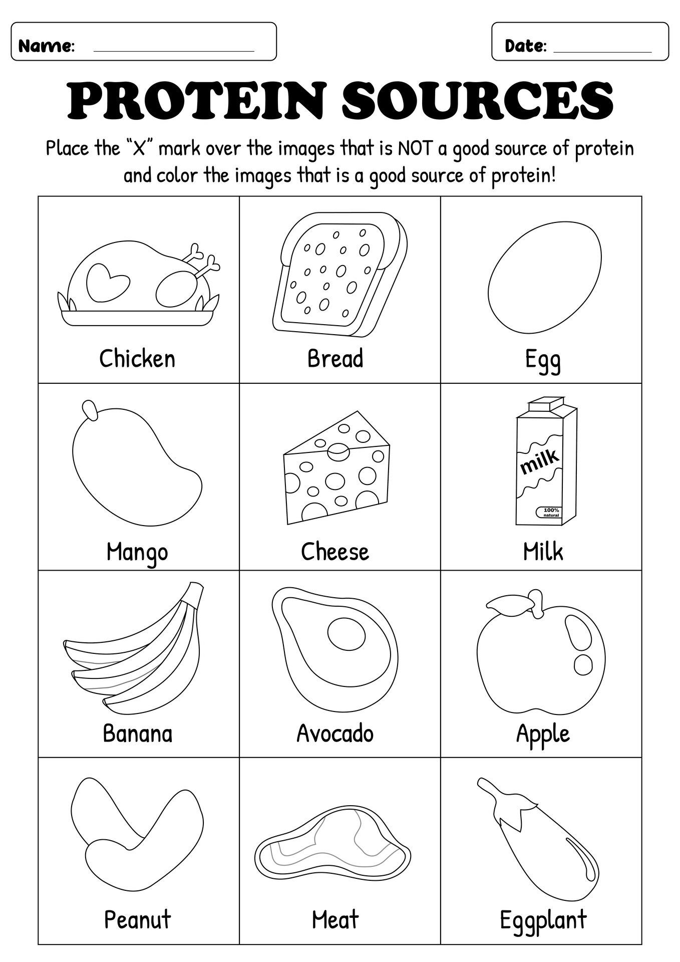 Dietary Protein Sources Worksheets