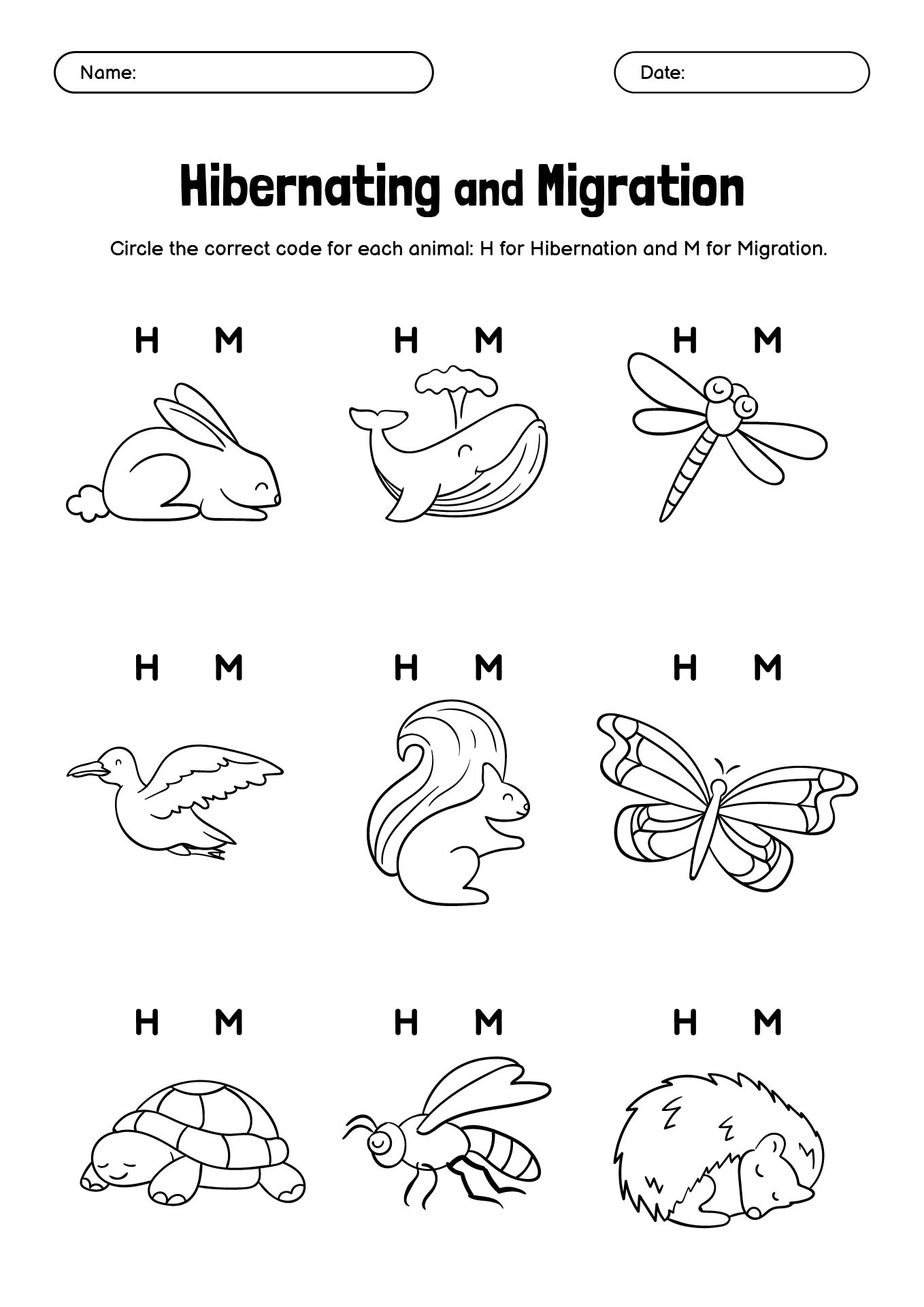 Hibernation And Migration Worksheets For Preschool