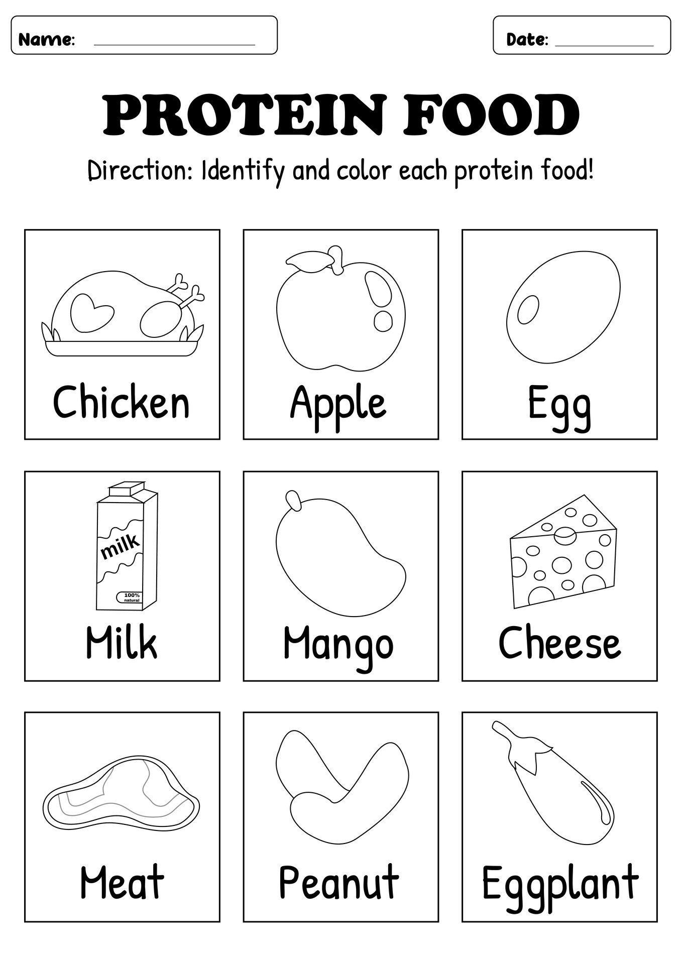 High Protein Food Group Worksheets