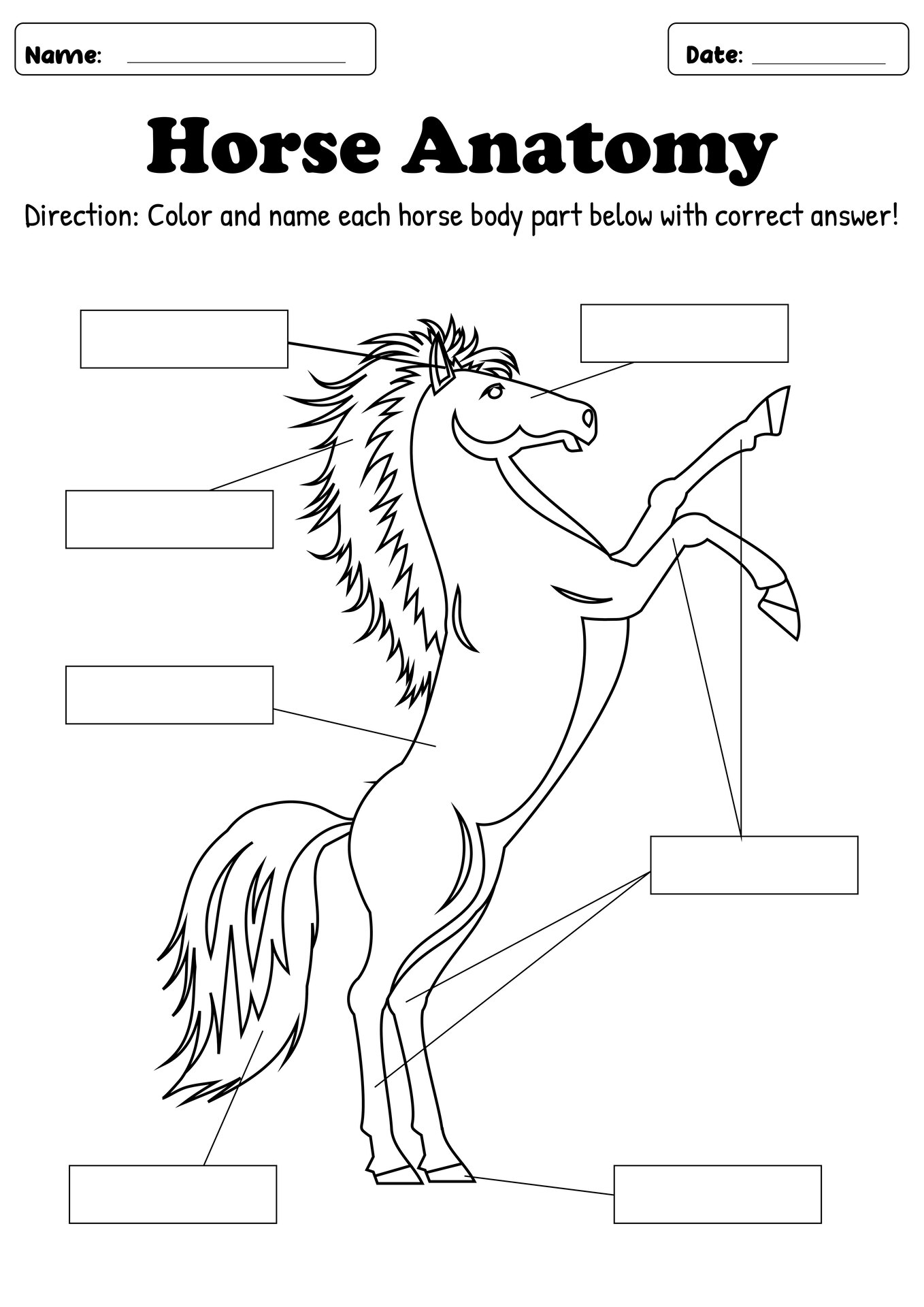 Horse Body Parts Activity Sheet